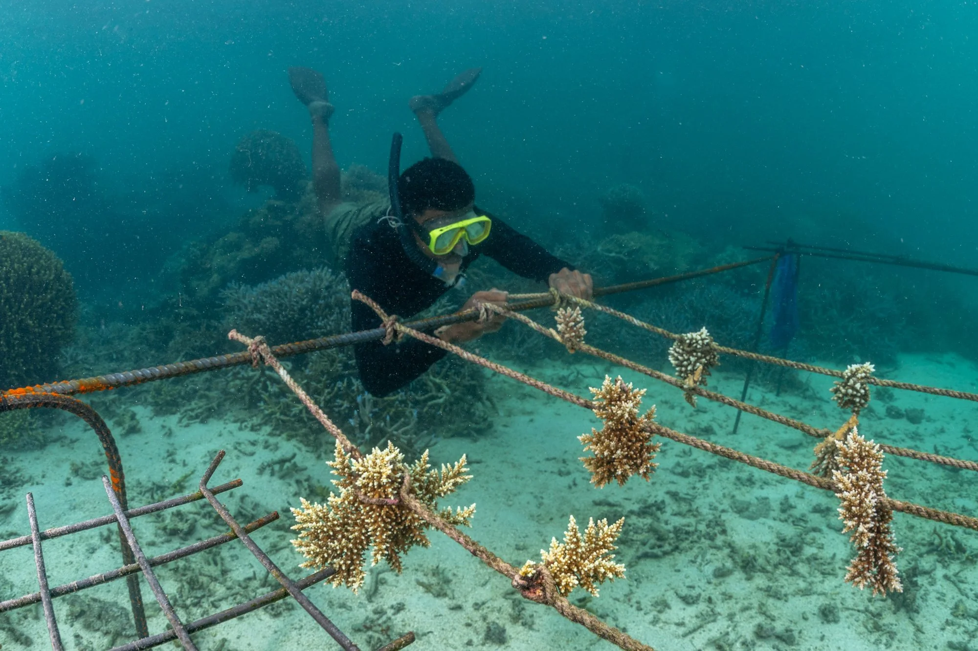 WWF- Australia_Tom Vierus_Moturiki Expedition-12.jpg