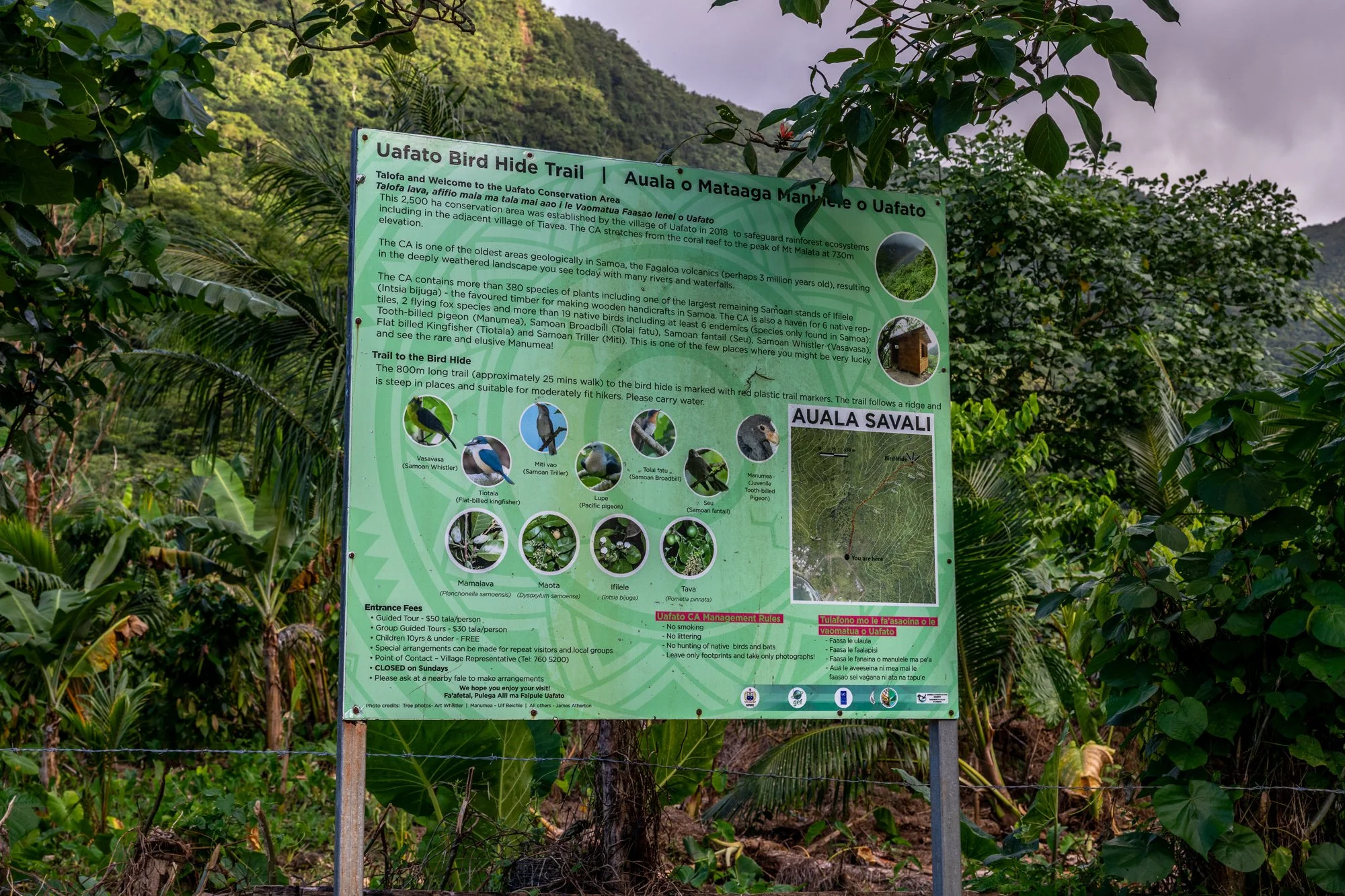 Birdlife International_Tom Vierus_Manumea Expedition-55.jpg