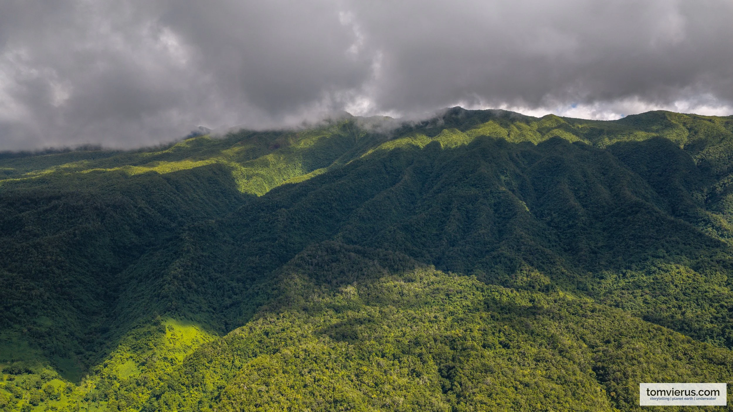 tom-vierus-fiji-sprep-pebacc-plus-1.jpg