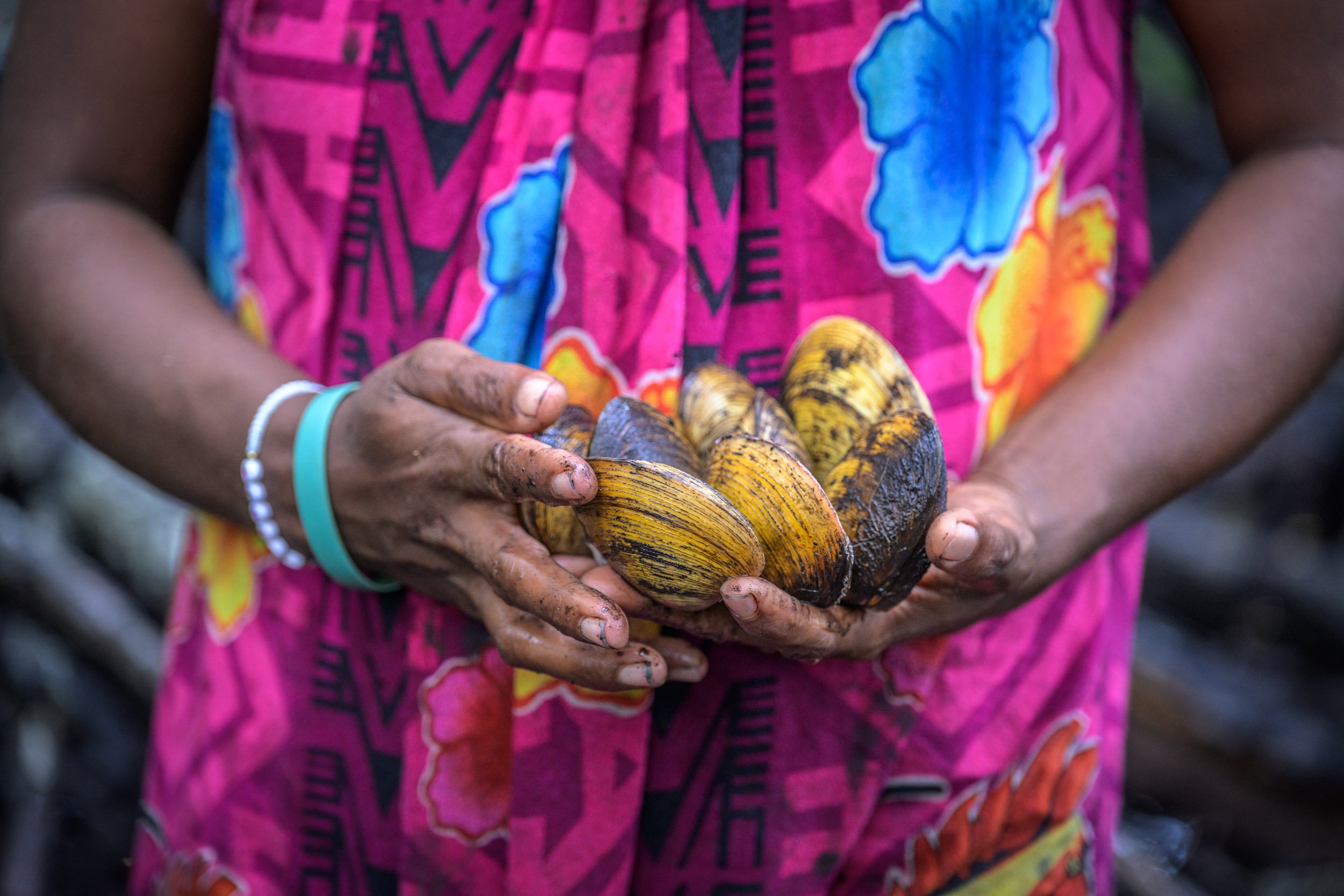 GIZ-kavieng-conservation-papua-new-guinea-tom-vierus-19.jpg