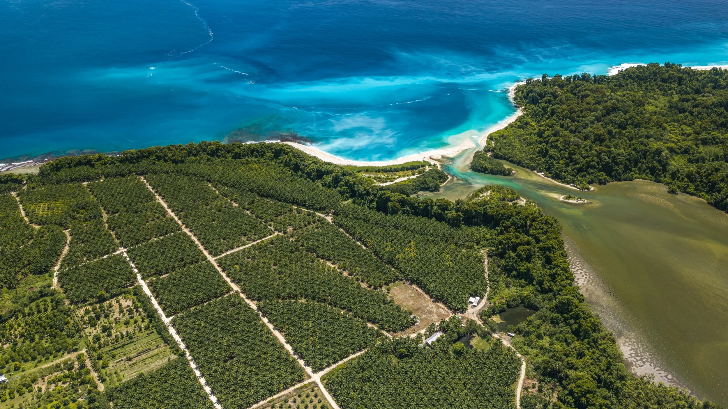 wwf-pomio-conservation-papua-new-guinea-tom-vierus-6.jpg