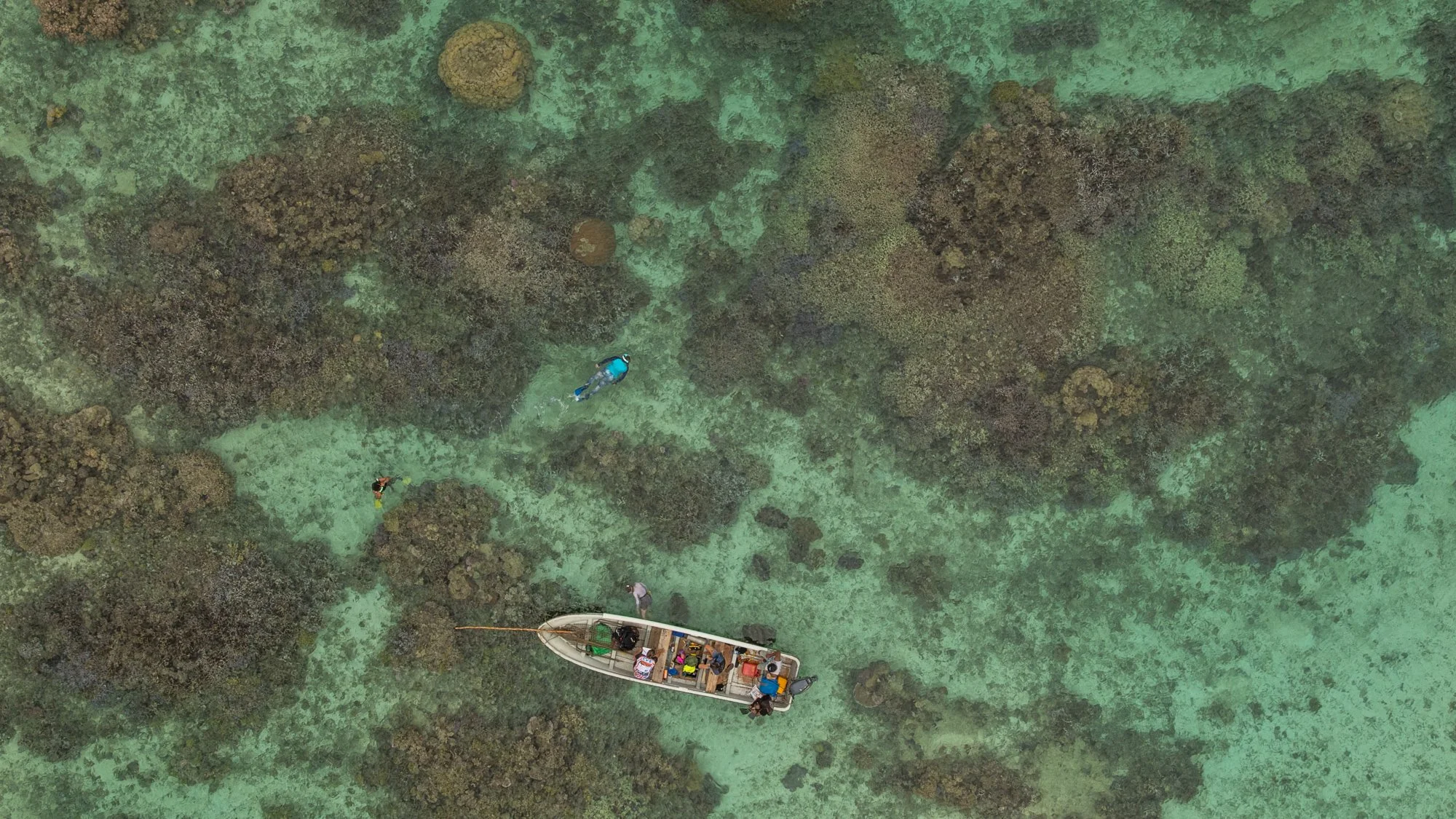 WWF- Australia_Tom Vierus_Moturiki Expedition-7.jpg