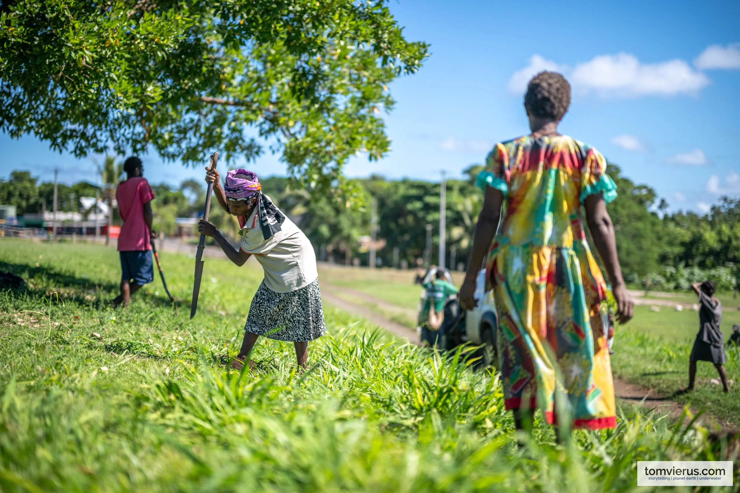 tom-vierus-vanuatu-sprep-pebacc-plus-1.jpg