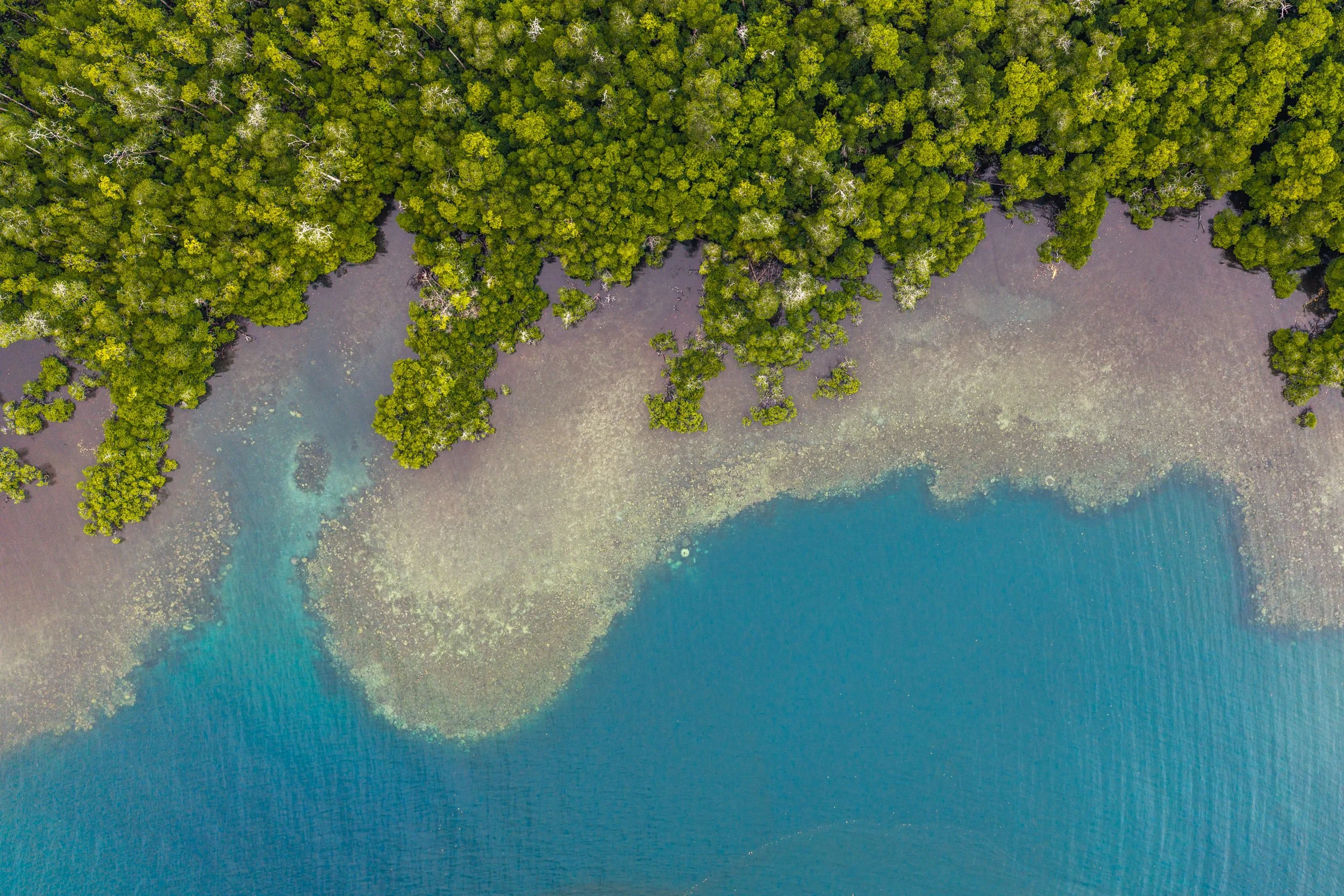 GIZ-kavieng-conservation-papua-new-guinea-tom-vierus-3.jpg