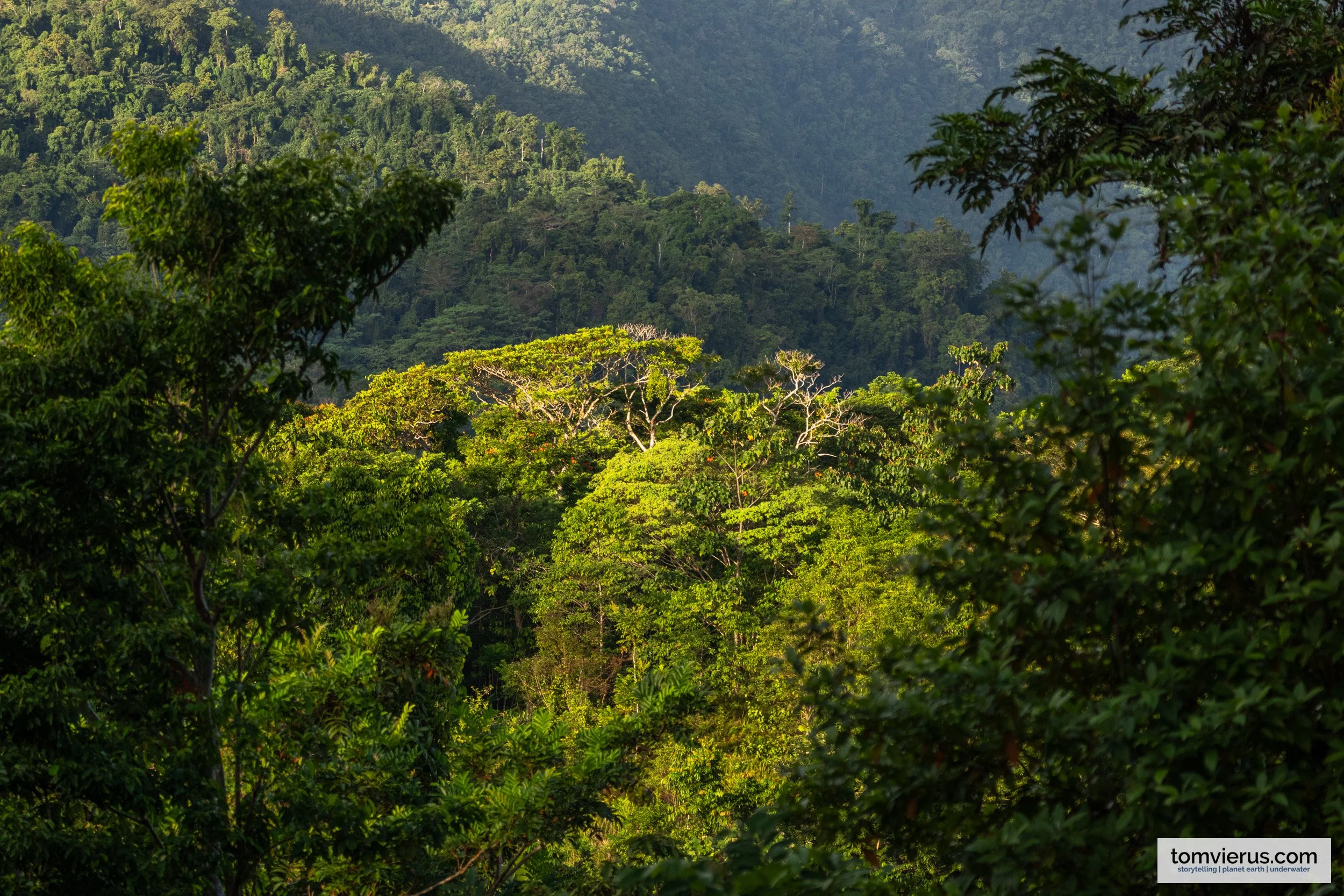 tom-vierus-solomon-islands-sprep-pebacc-plus-13.jpg