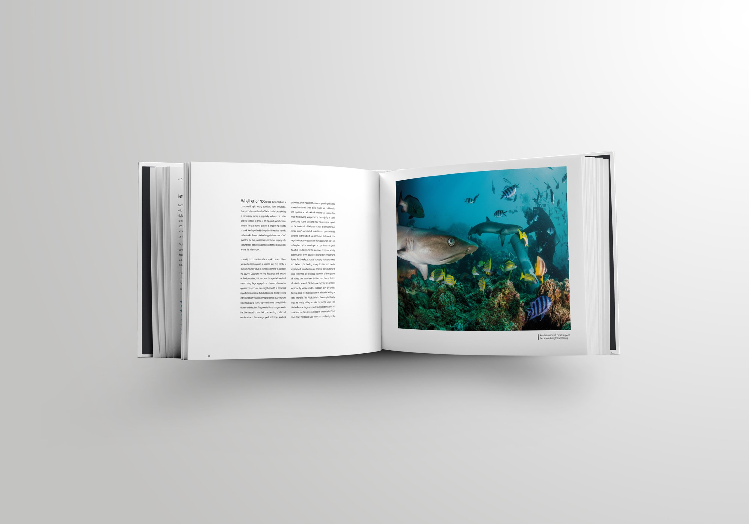 The Shark Reef Marine Reserve Book Inside Pages