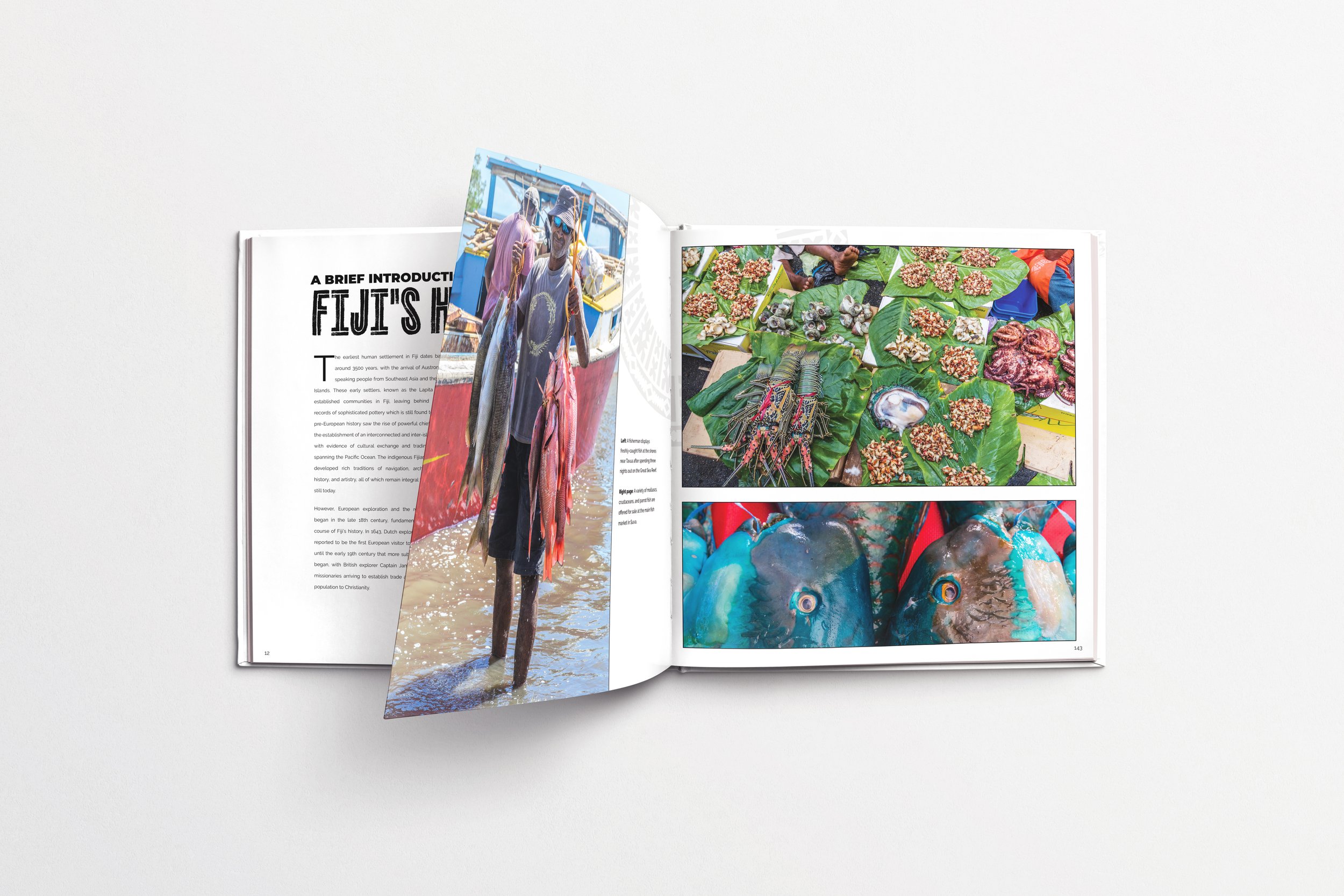 A Visual Journey Fiji - Mockup Files Version 2.jpg