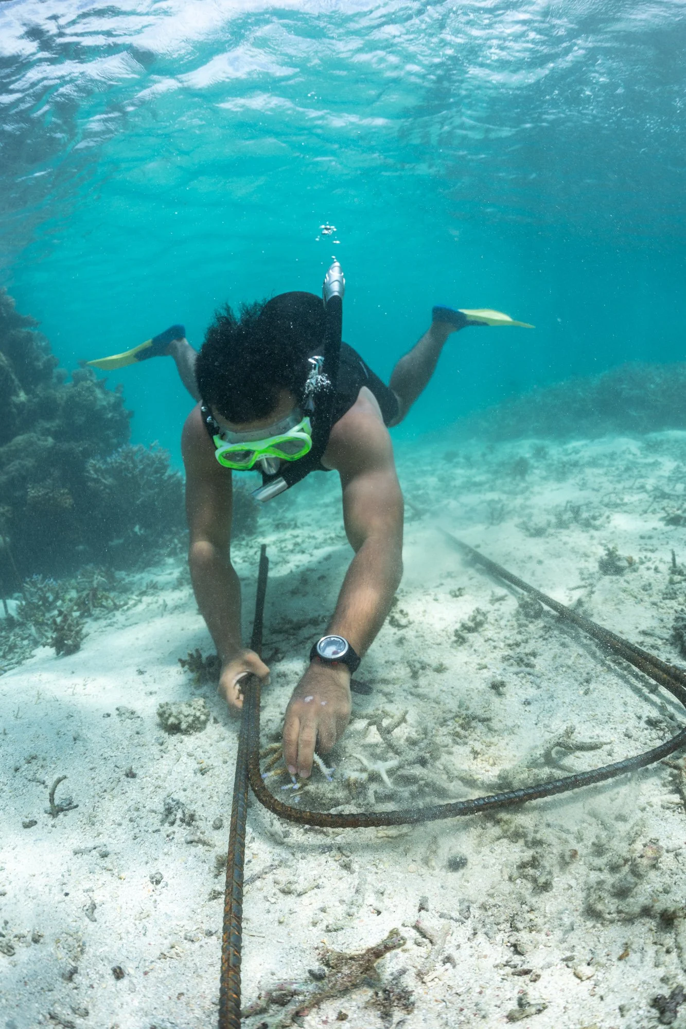 WWF- Australia_Tom Vierus_Moturiki Expedition-5.jpg