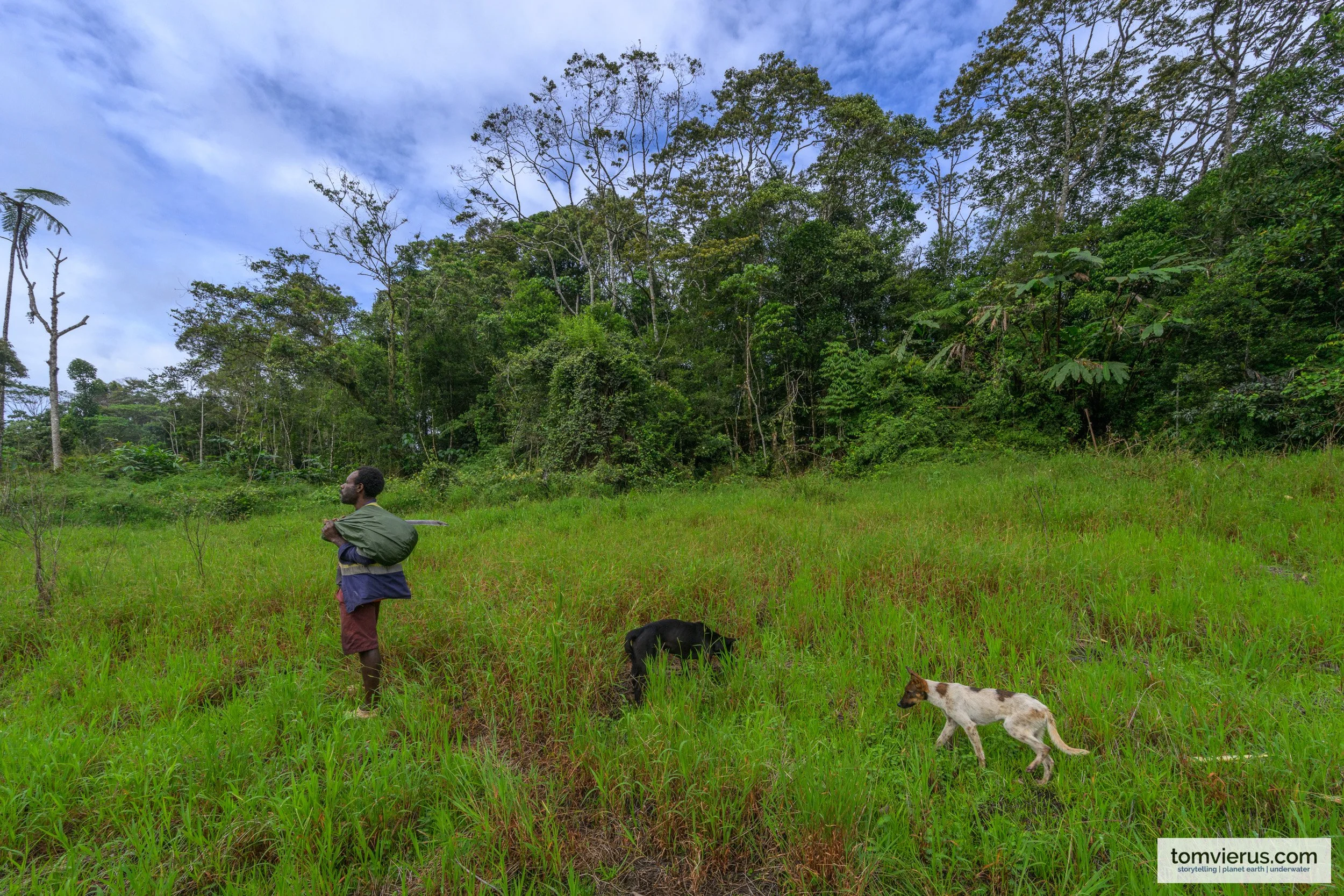 A local hunter and two dogs in New Britain, with village houses and cloud-covered forested mountains behind them.