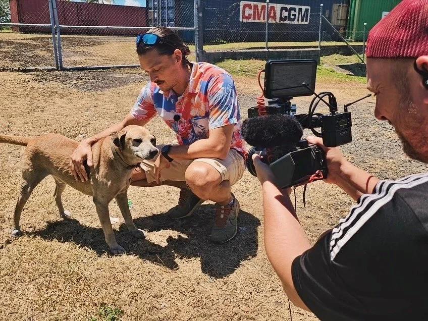 Tom Vierus during a ZDF production about stray dogs and animal welfare in Fiji.