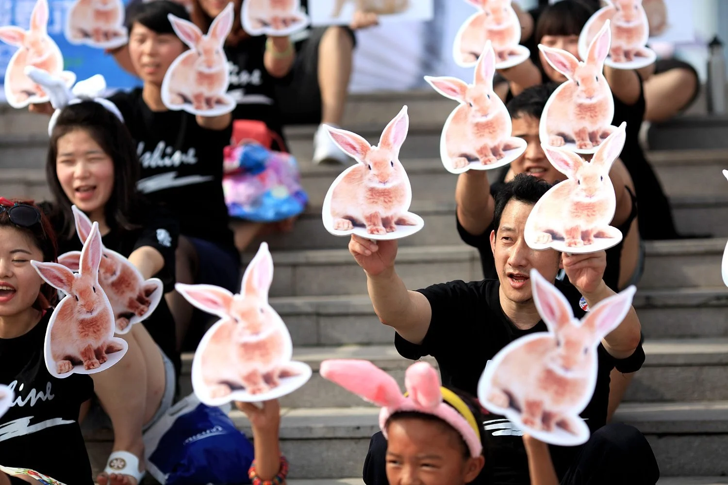 Trading Laws in China and Cruelty Free Shopping