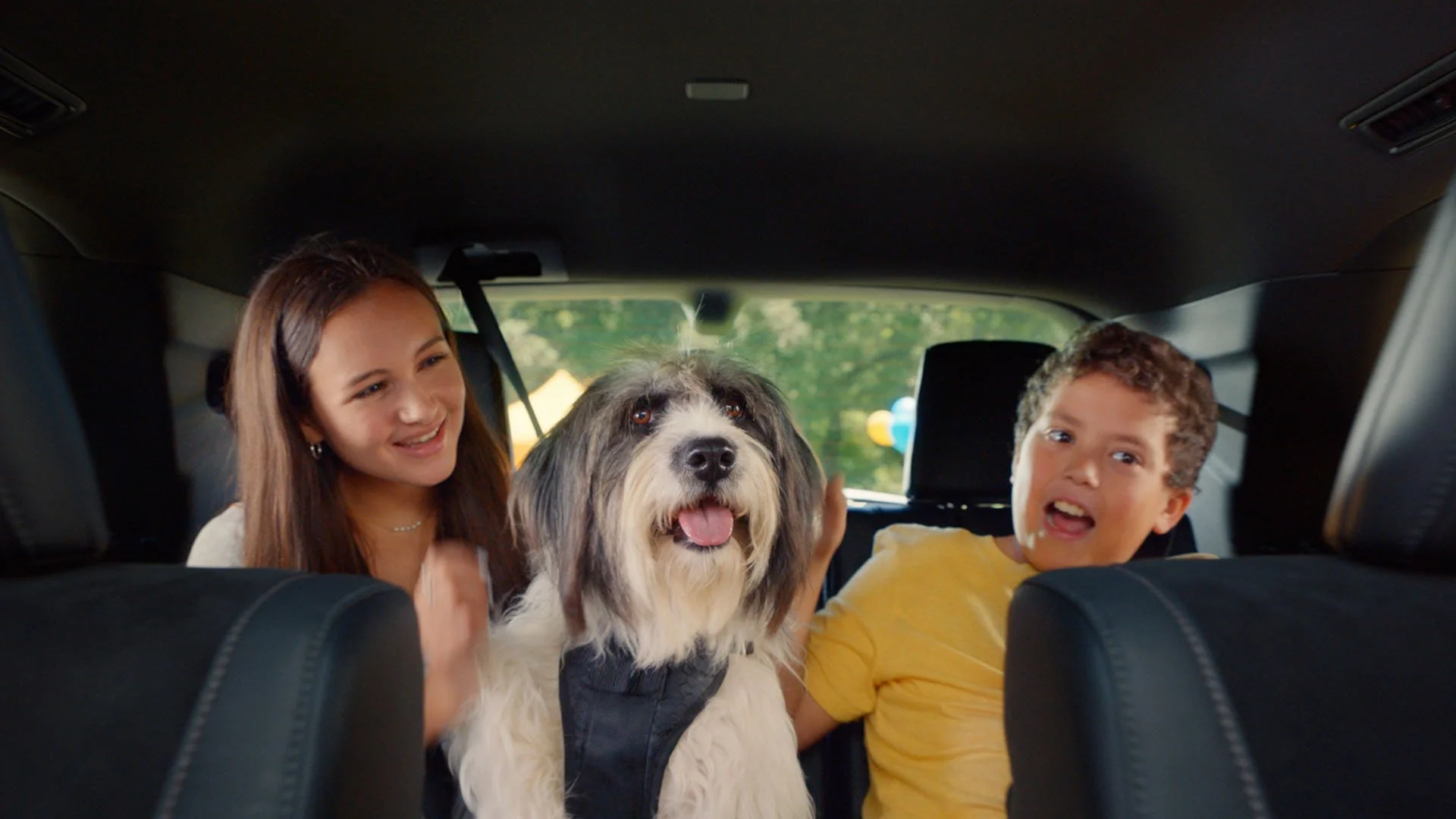 TOYOTA 'FETCHING FUN'