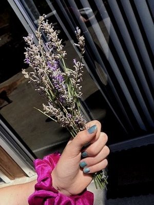 lavender.jpg