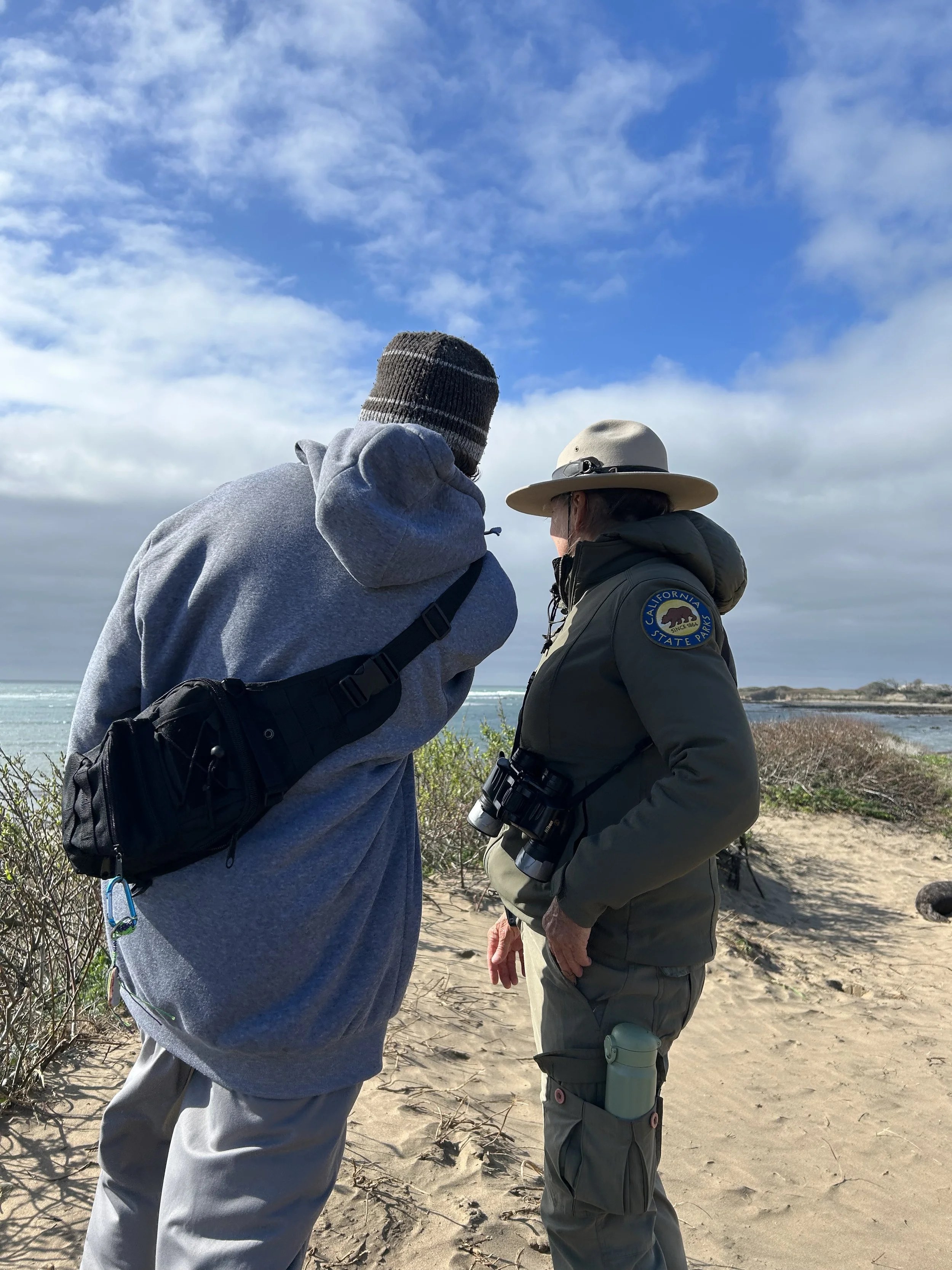 Image - 2026-02-26T102323.973.jfif