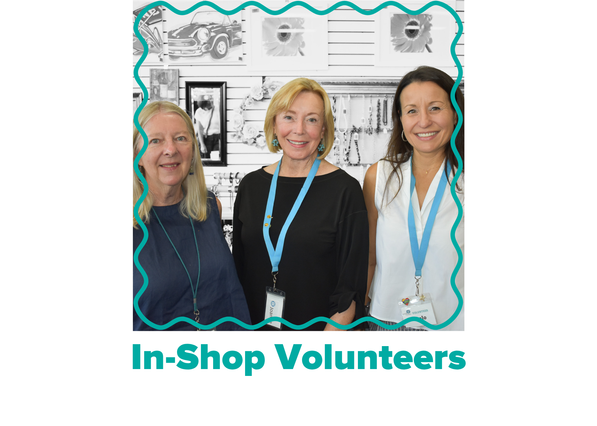 Volunteer landing page icons (1).png