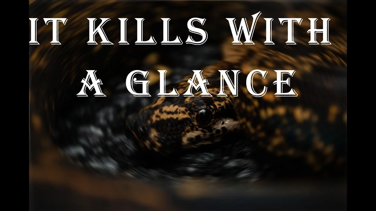 The Mystery of the Basilisk