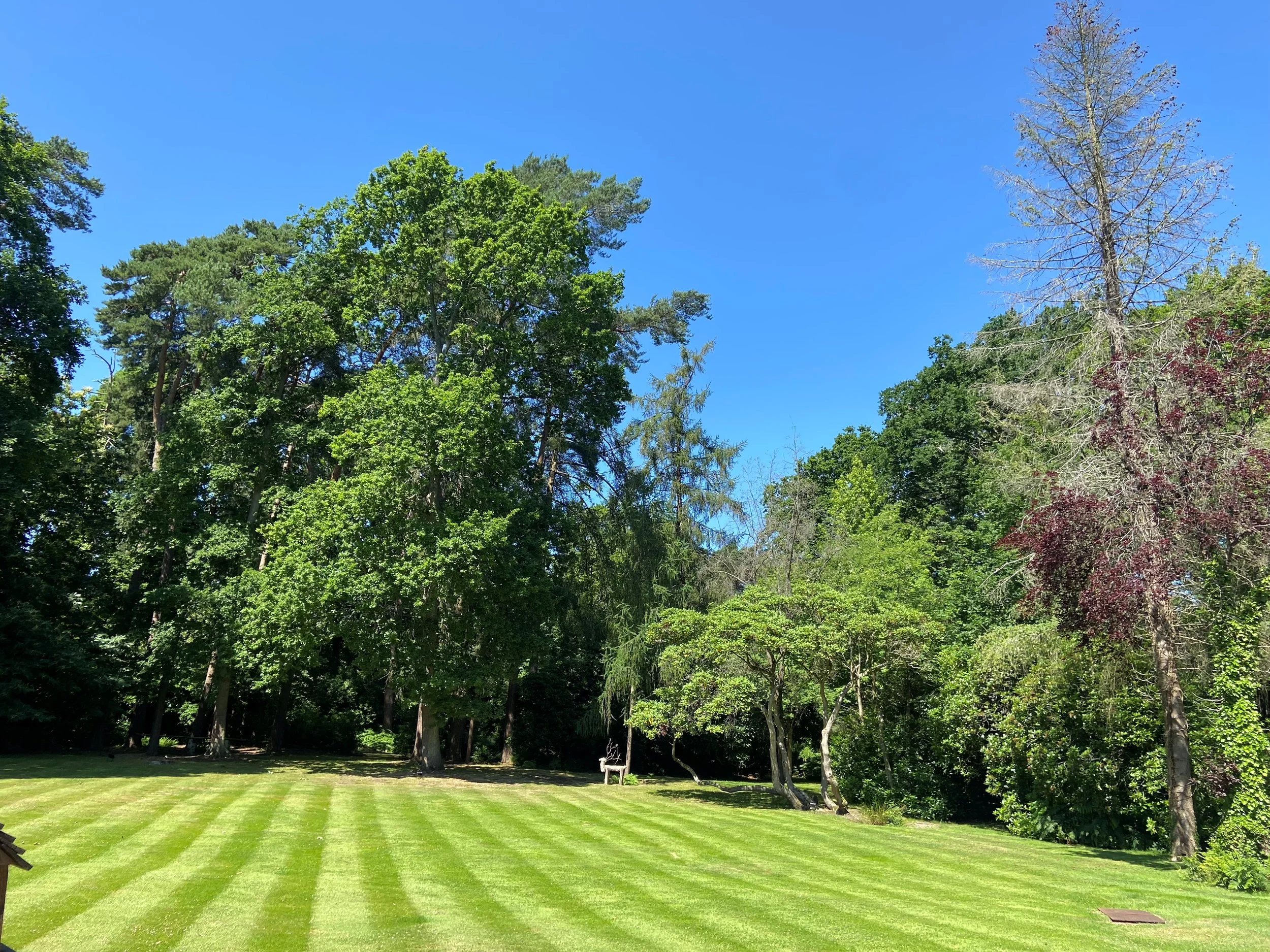 Deerswood Surrey — Location Creation