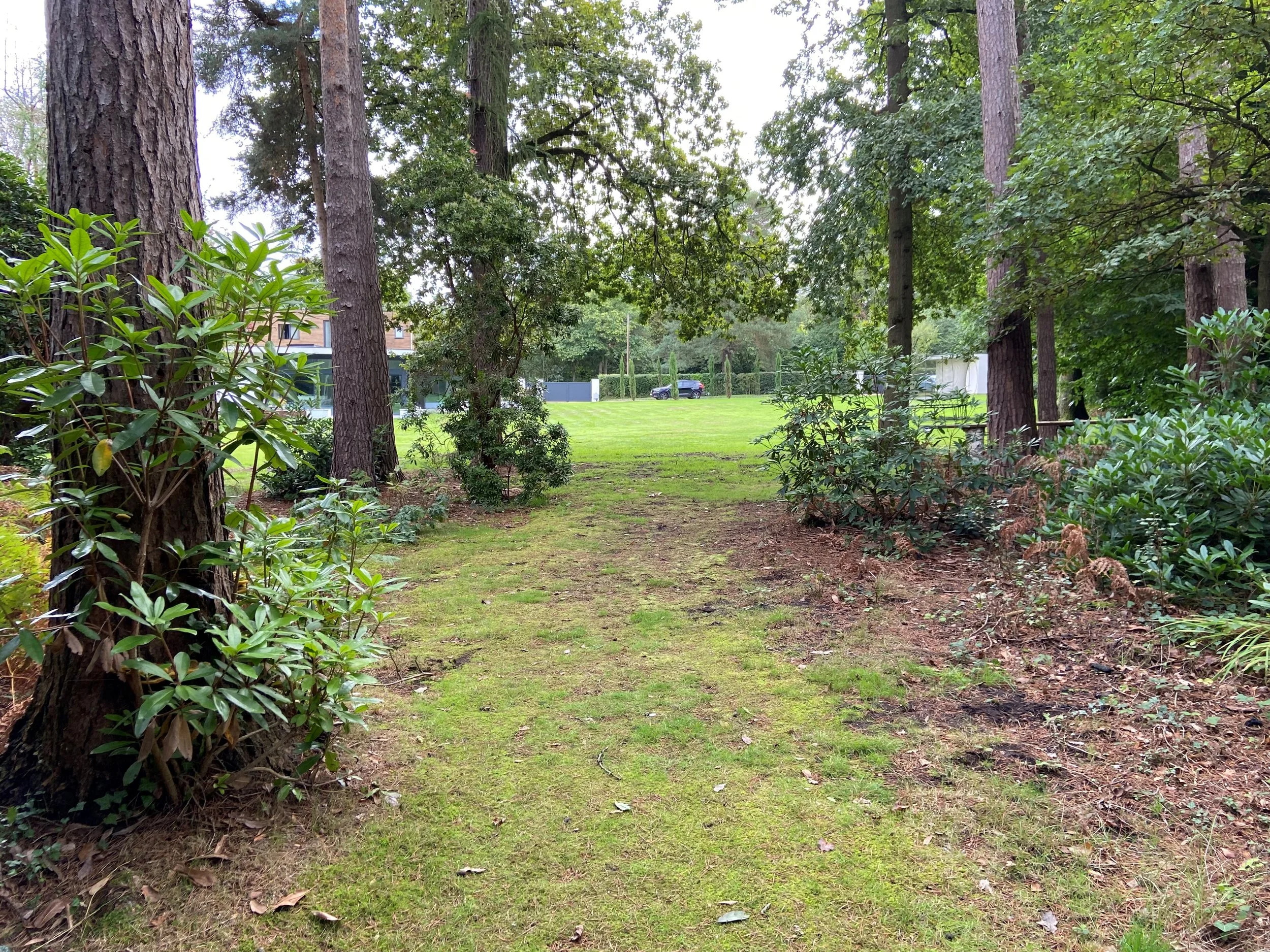 Deerswood Surrey — Location Creation