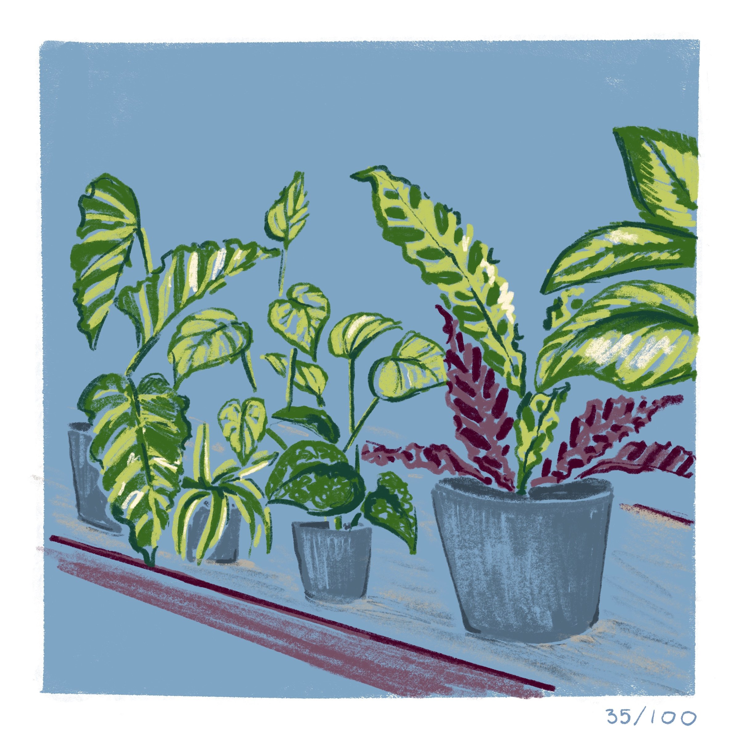 35._THE_COVE_PLANT_STORE.jpg