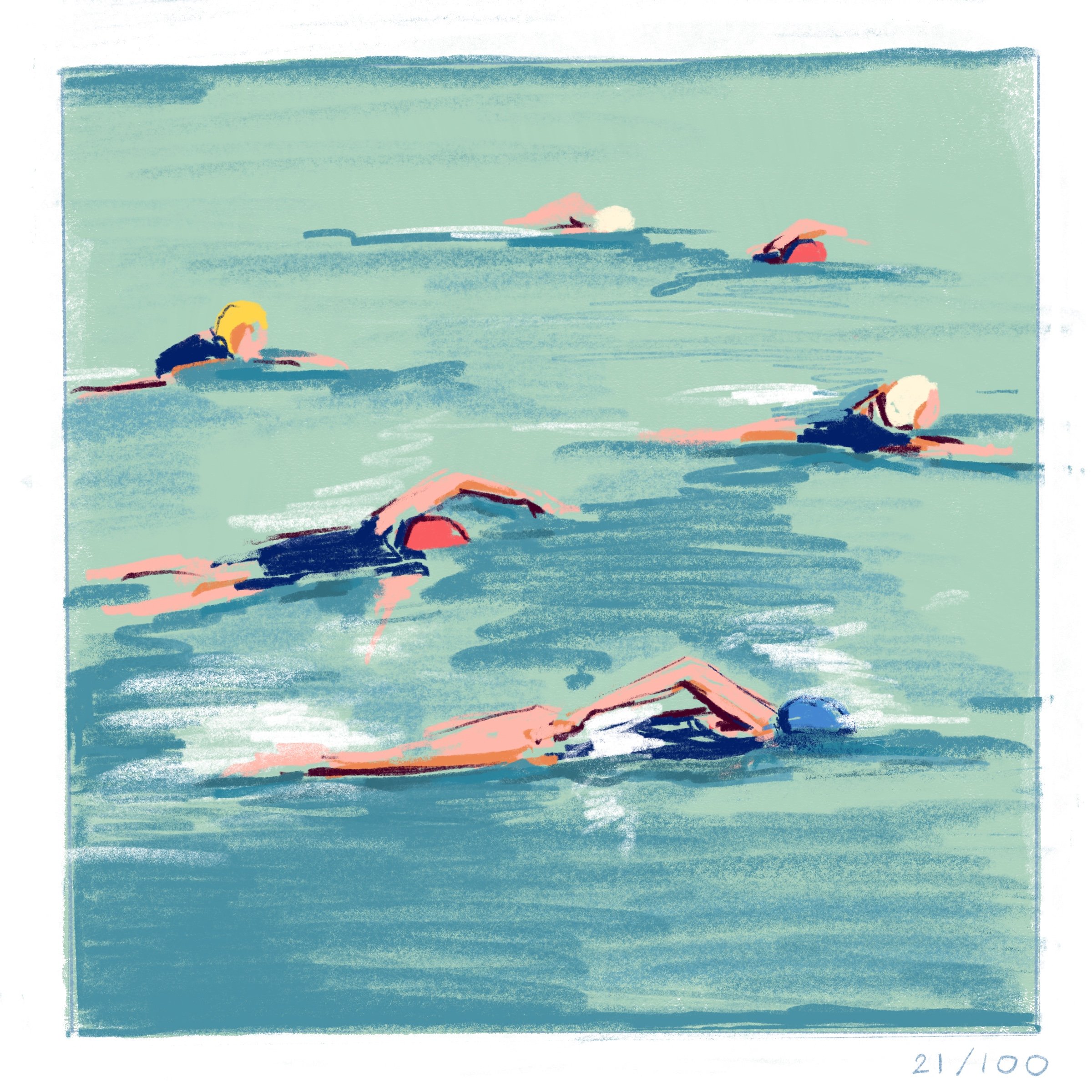 Dolphin Swim Club Illustration