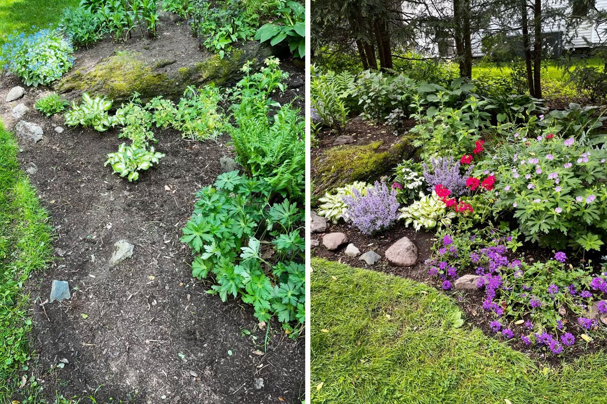 Before+After.jpg