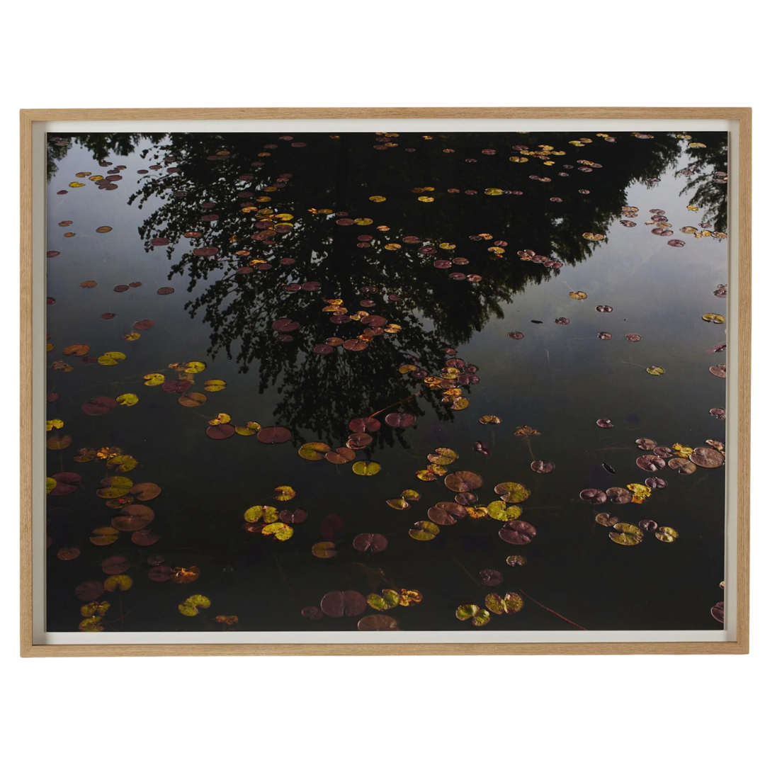 The Light Wall Art