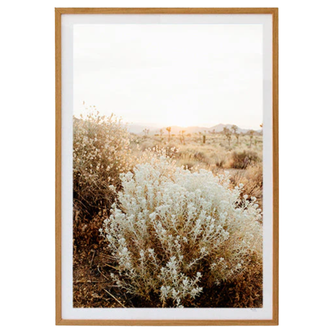 Joshua Tree Print