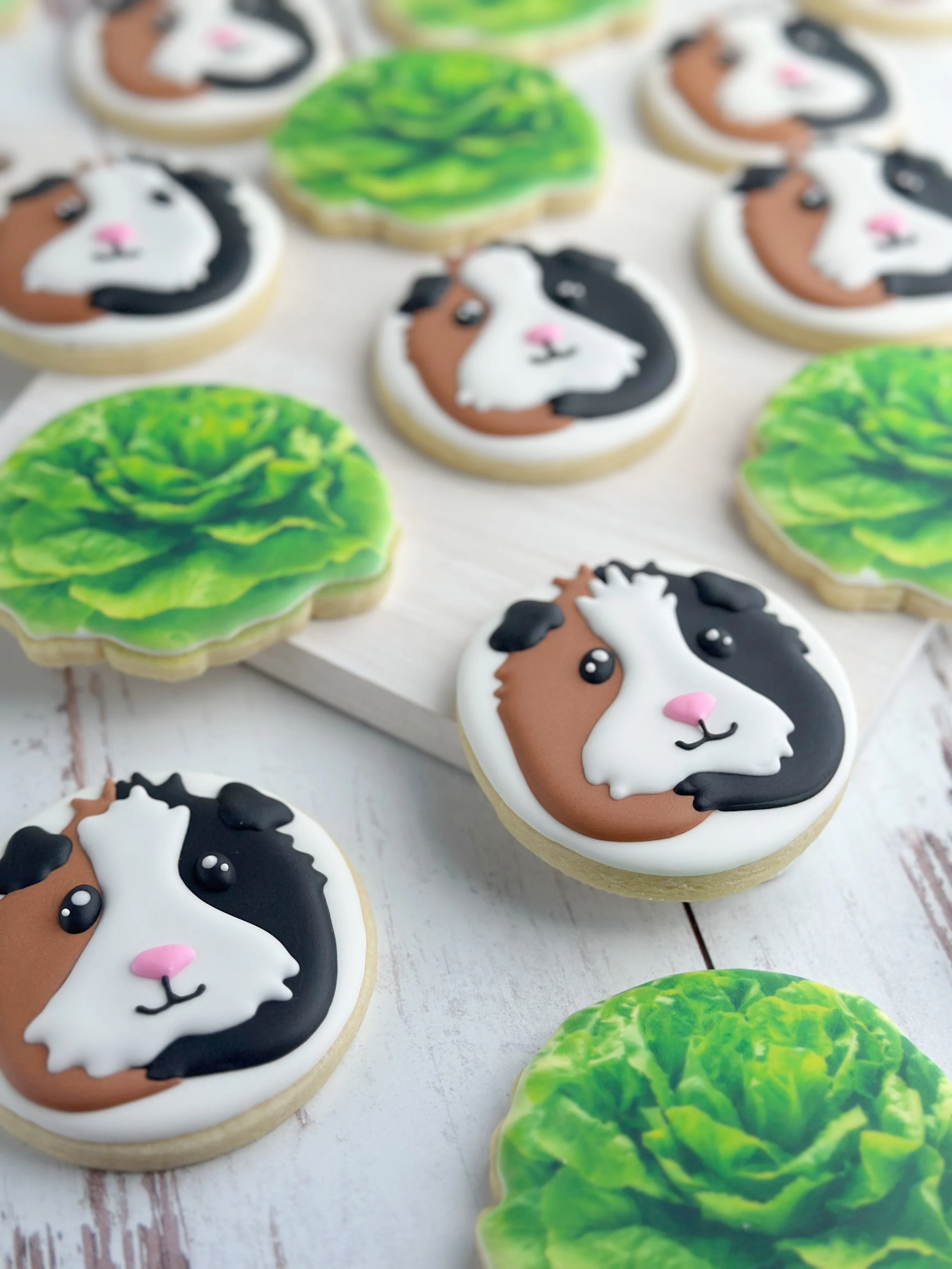 Guinea Pigs and Lettuce