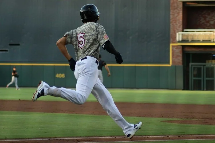 Chihuahuas_03-1.jpg
