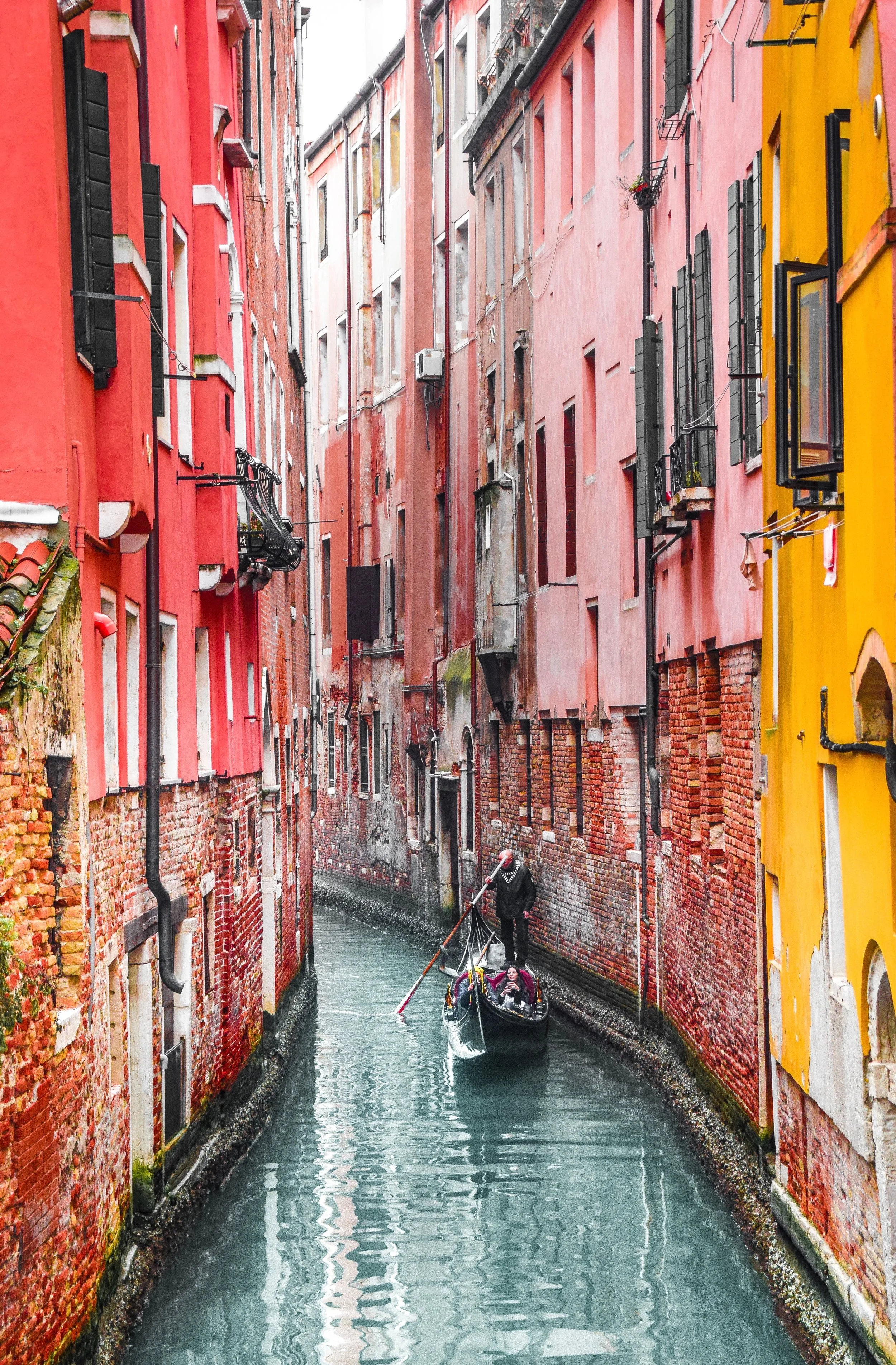 Cruising the Veneto: Garganega, Corvina, and More!