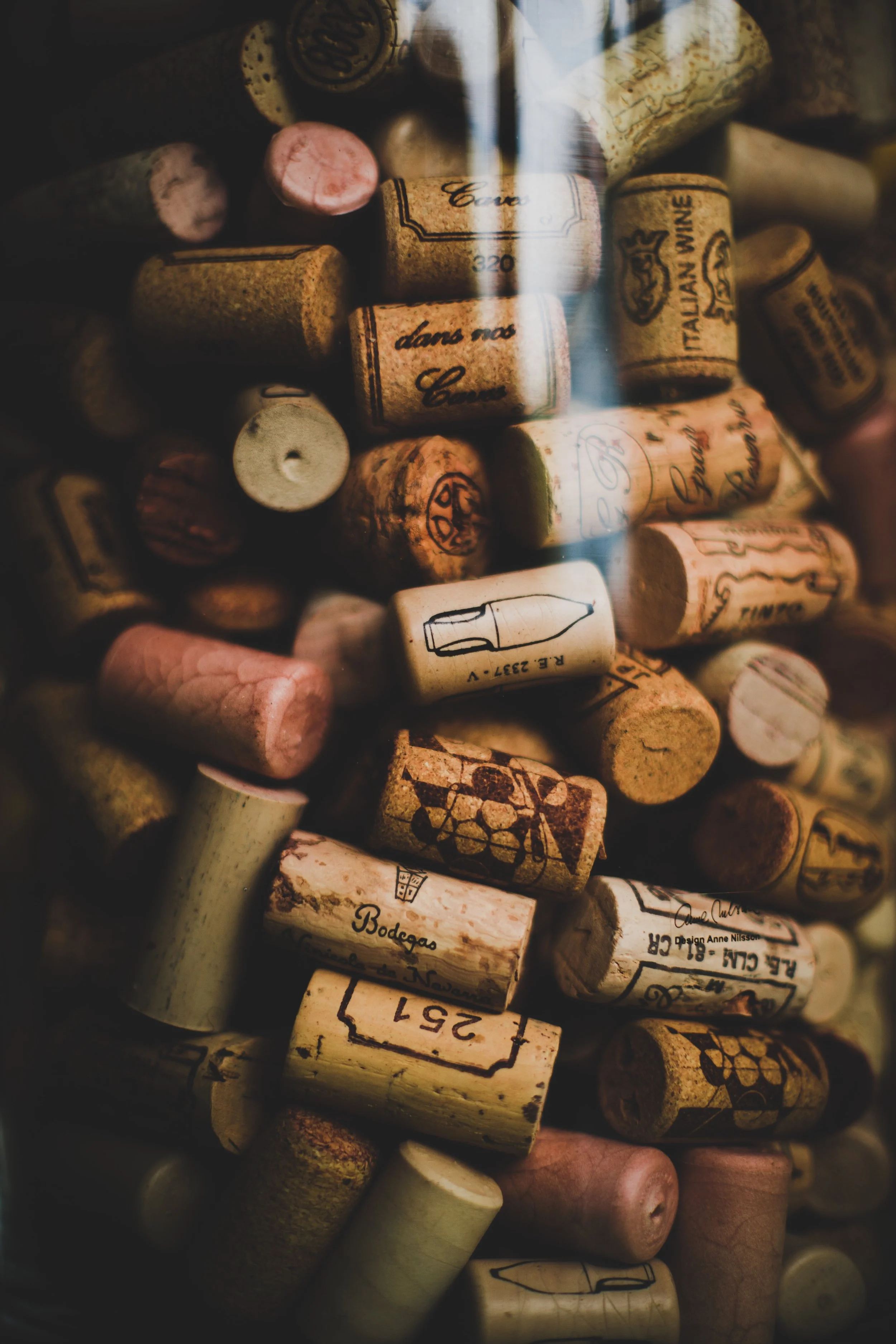 Taste of Wine Club