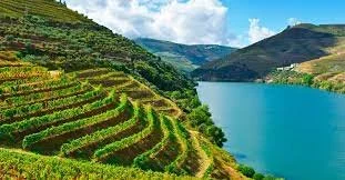 Iberian Peninsula Wines