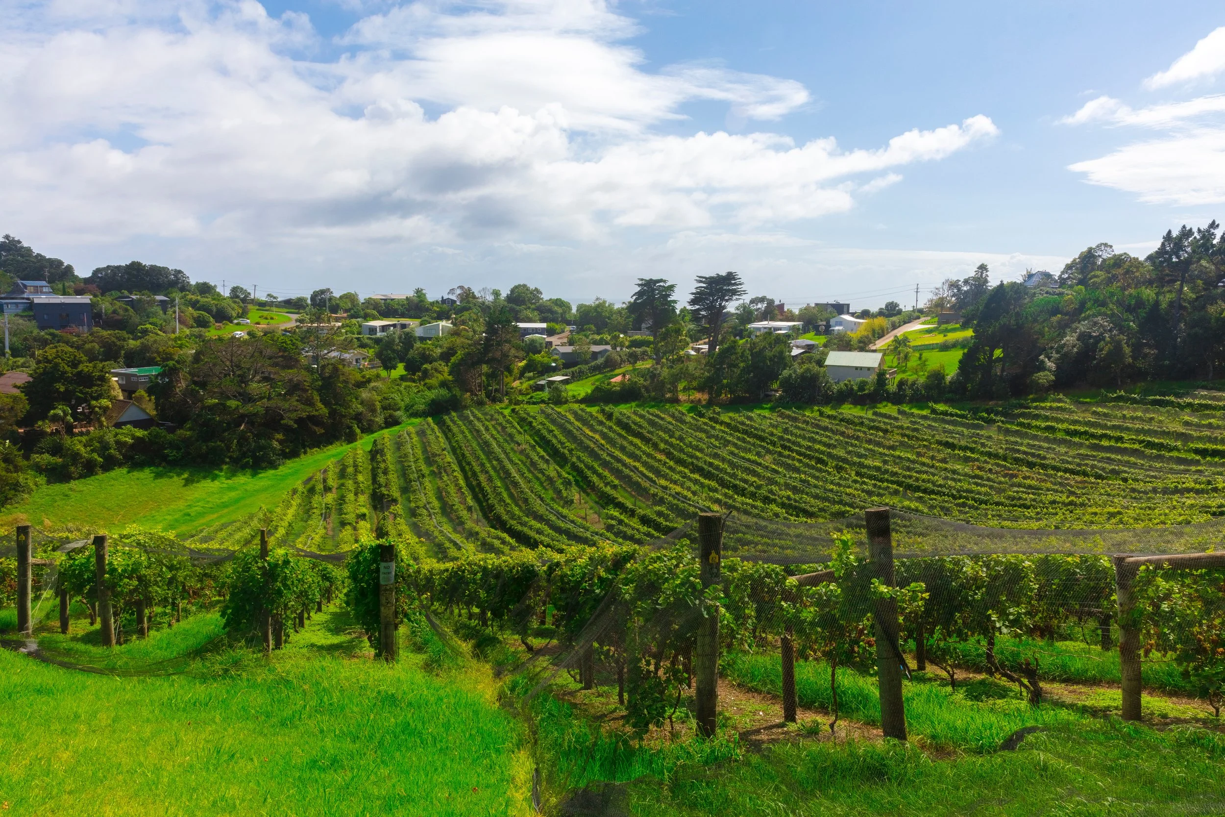 Hawke’s Bay - New Zealand