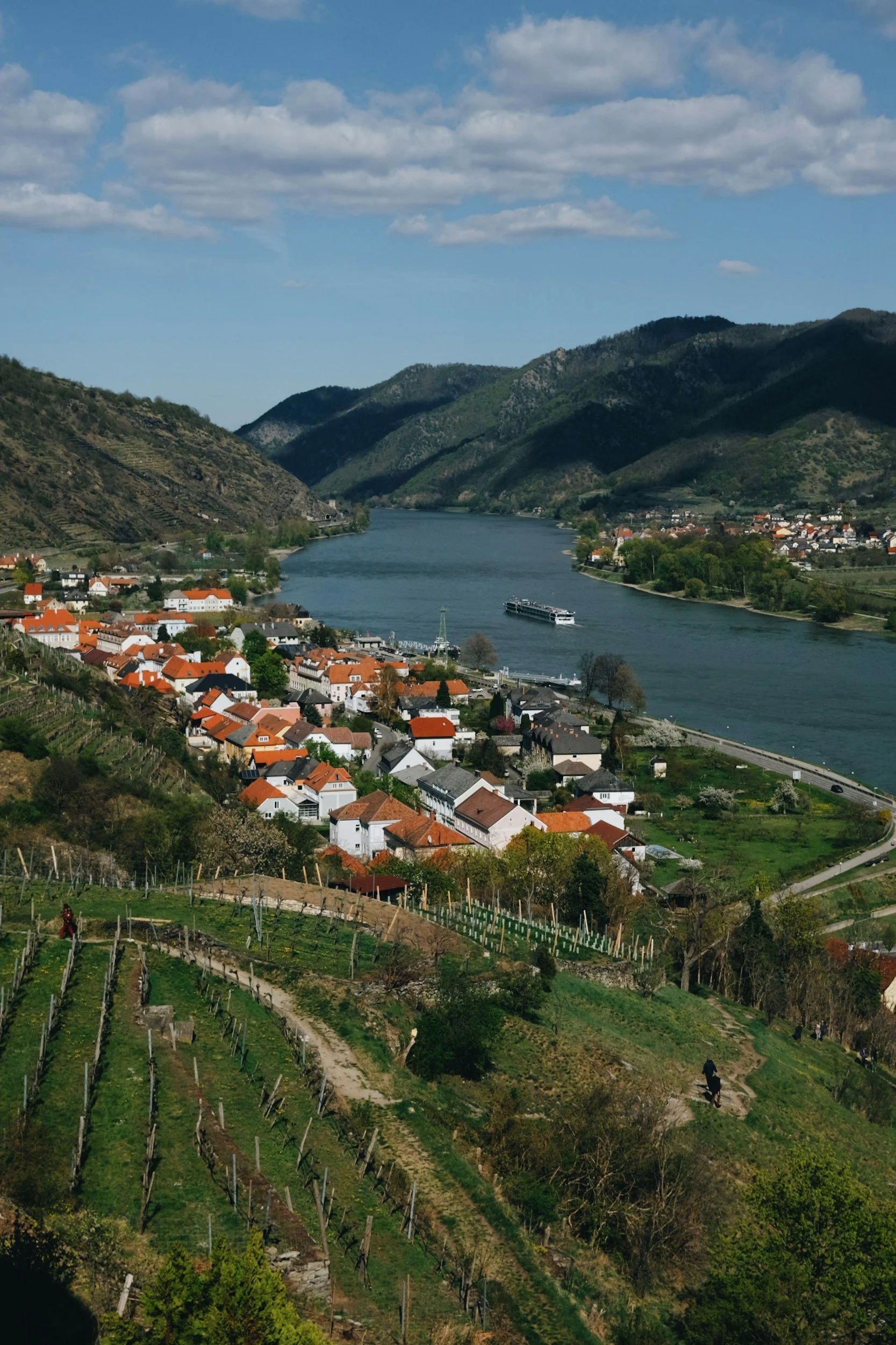 Tuesday Tasting - Austrian Varietals! & Wine Club Pickup