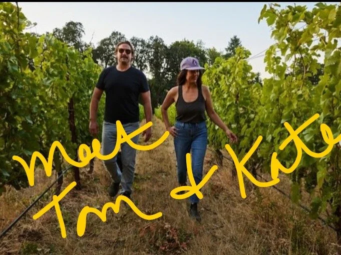 Division Wine Co Maker Tasting!