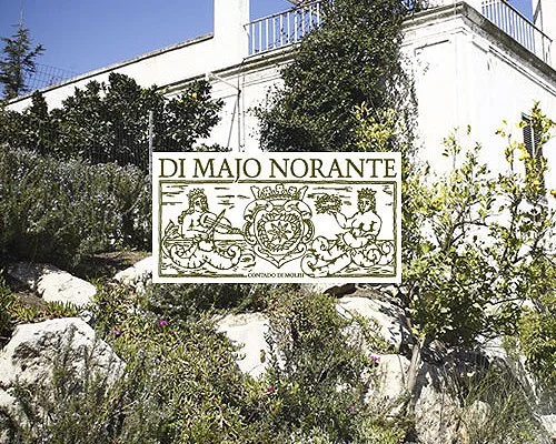 Maker Tasting with Luigi di Majo of Di Majo Norante 