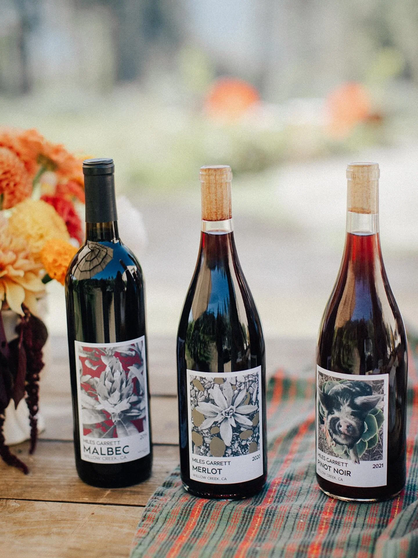 What if &ldquo;natural wine&rdquo; didn&rsquo;t mean funky&hellip; just beautifully balanced? 🍷🌿

Join us for a drop-in tasting with Miles Garrett, a small-production winemaker from the remote Willow Creek AVA in Humboldt County.

His wines are cer