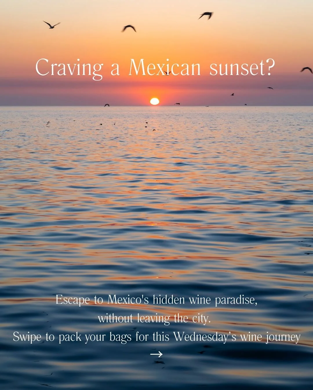 Ready for the wine adventure you never saw coming? 🏖️ Escape to Mexico&rsquo;s hidden wine paradise, without leaving the city!

This Wednesday, Halfseas is taking you on a sippable trip to Mexican wine country.🍷✨

Wine Flight:
🫧 2023 Rosado Pet Na