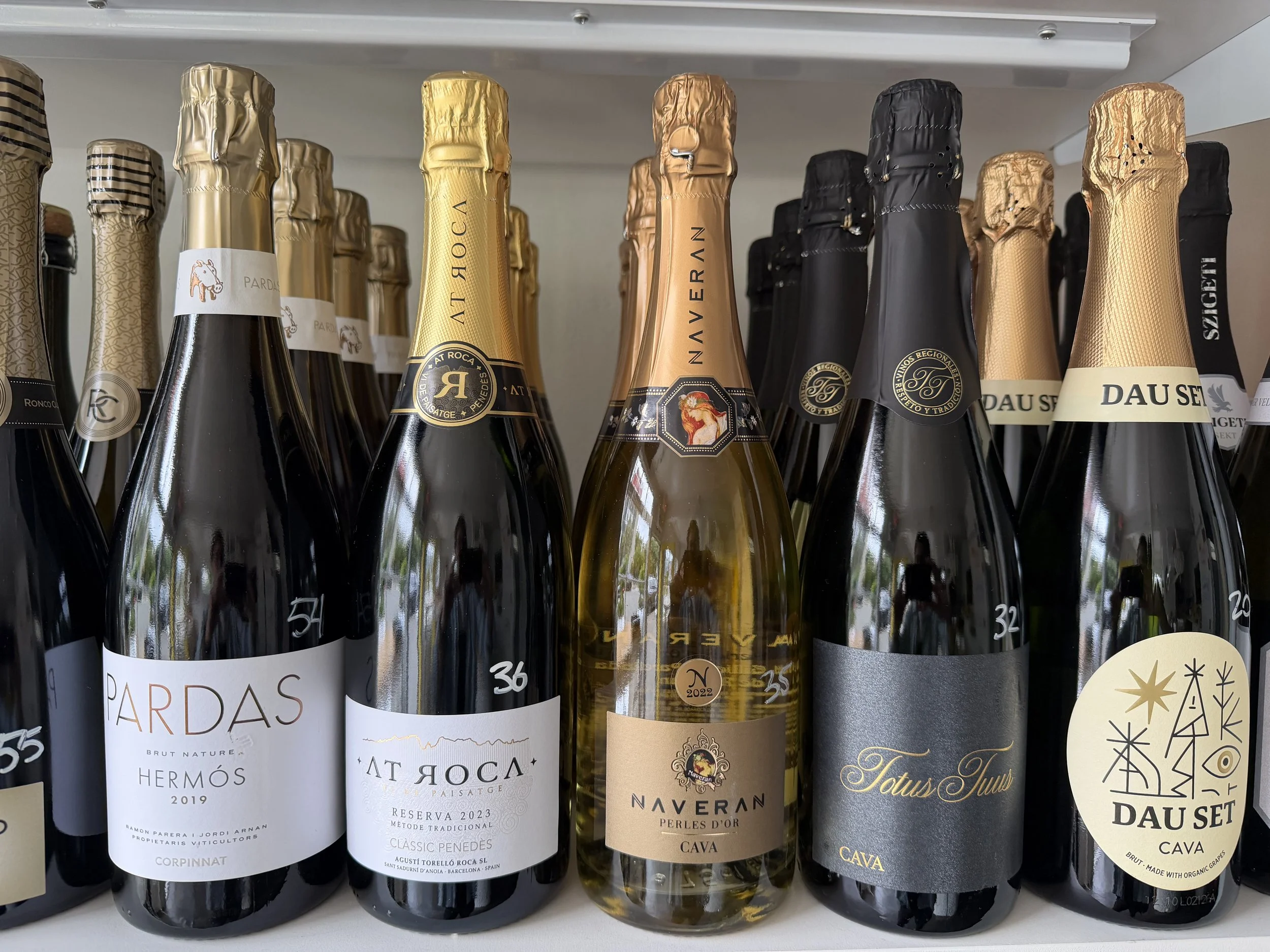 International Cava Day!
