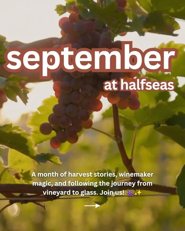 September is here and we are harvesting stories one glass at a time.🍇

Here&rsquo;s what&rsquo;s in store for you this month:

🇪🇸 Wines of Rioja tasting with Alex from Joyous Society on September 17th | Drop in 5:30-7:30 PM. Taste 4 wines and lear