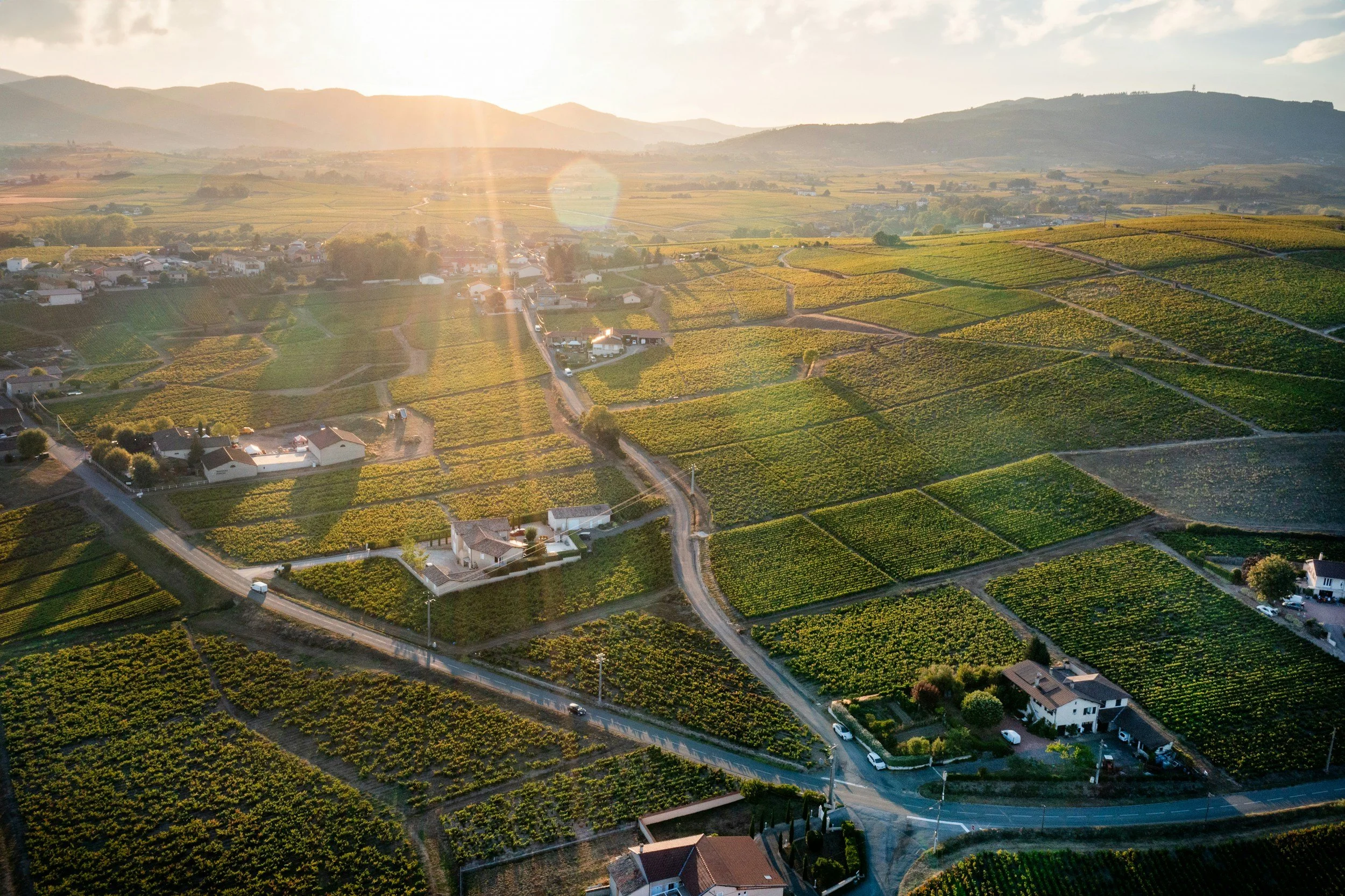Tour of Beaujolais with New Wave Wine Co.