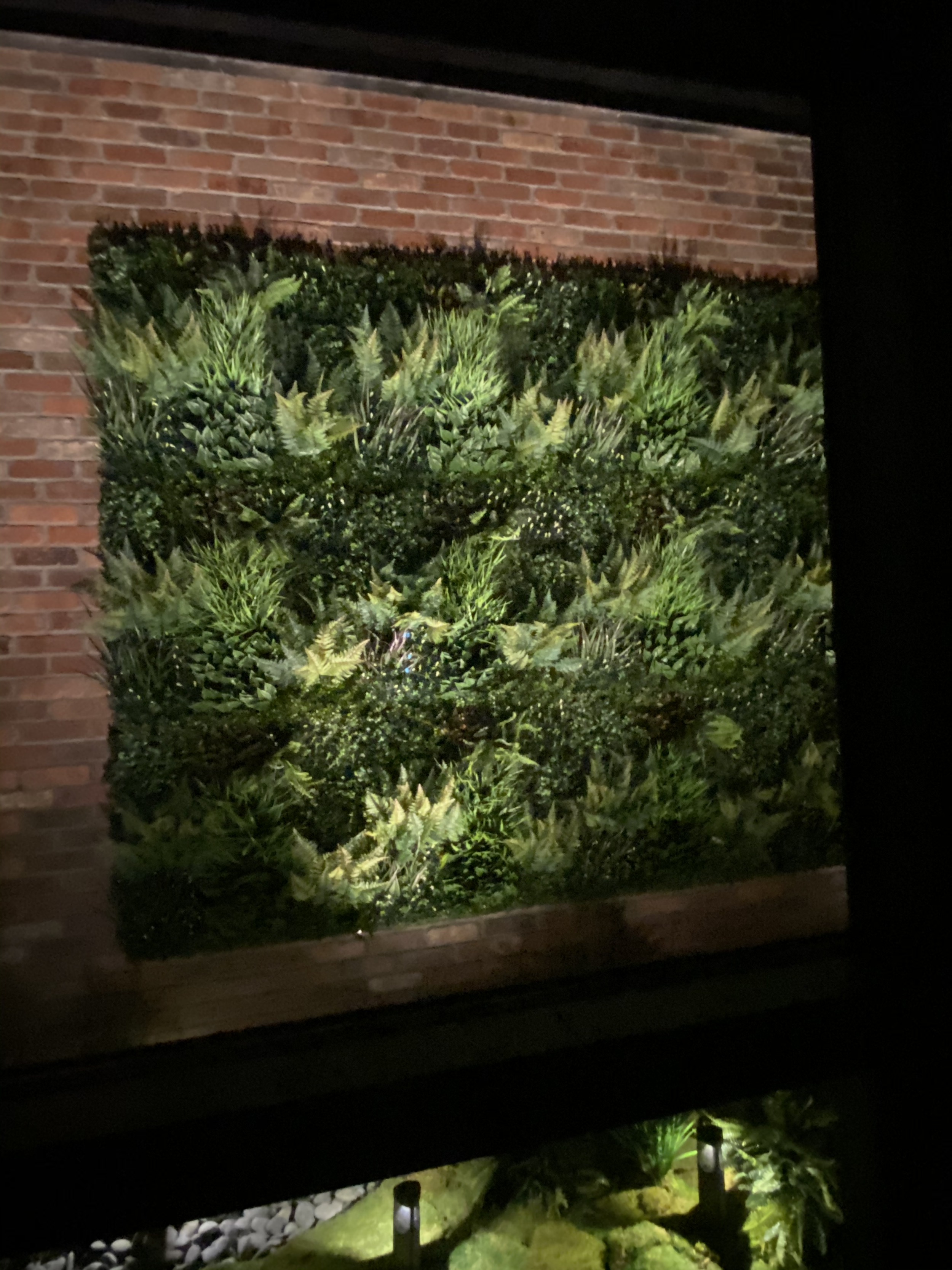 IMG_9924 2.png