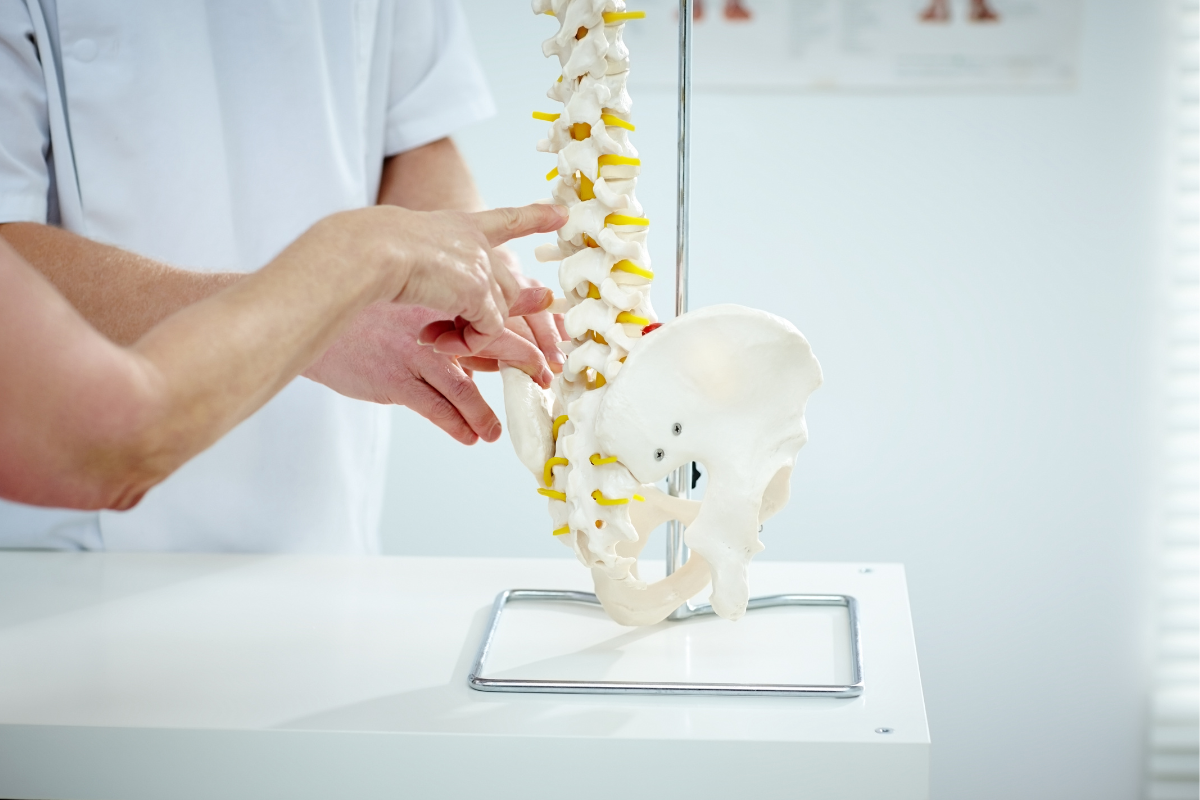 Physio pointing as spine