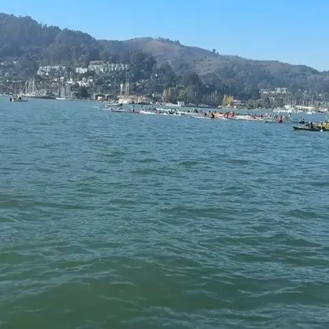 Thanks Sea Trek! We had a great time at the 43rd Annual Sea Trek Regatta!
We look forward to paddling in the Regatta next year too! 
#paddleseatrek 
#paddleforacause 
#paddlebayarea 
#supbayarea 
#ohanapaddleclub 
#supracing