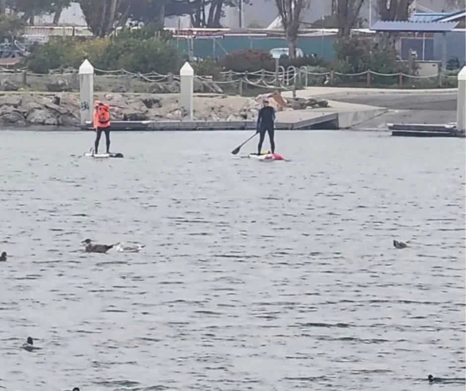 The weather has been interesting!  Some cold mornings that turn into blue skies later in the day. 
We had some of our advanced paddlers take a 3 and 1/2 hour trip counter clockwise around Alameda Island. 
Others of us went out for more casual paddles