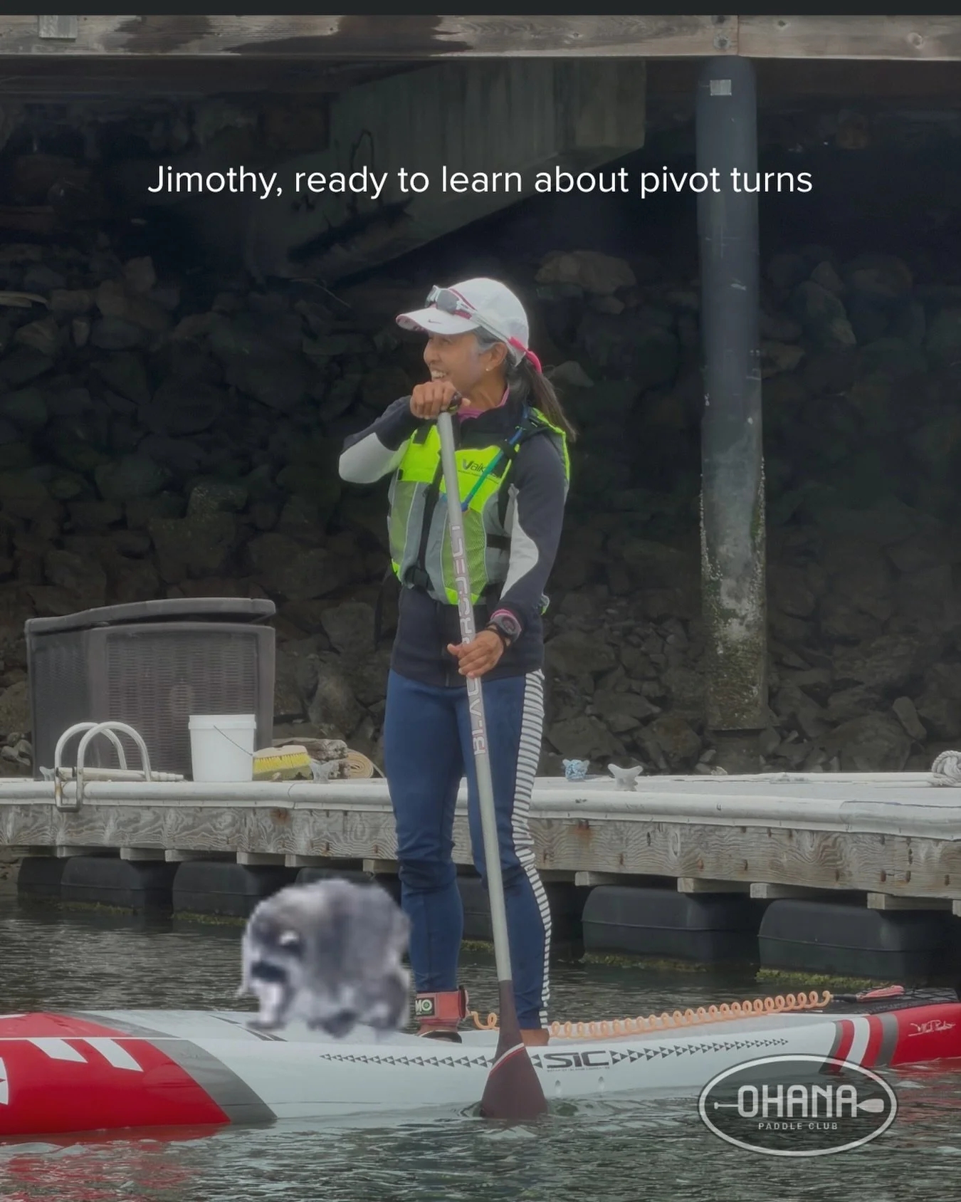 Jimothy, totally ready to learn pivot turns with Coach Shirley @petsupr! #jimothy #raccoon #hotjimothysummer #paddleboarding #supadventures