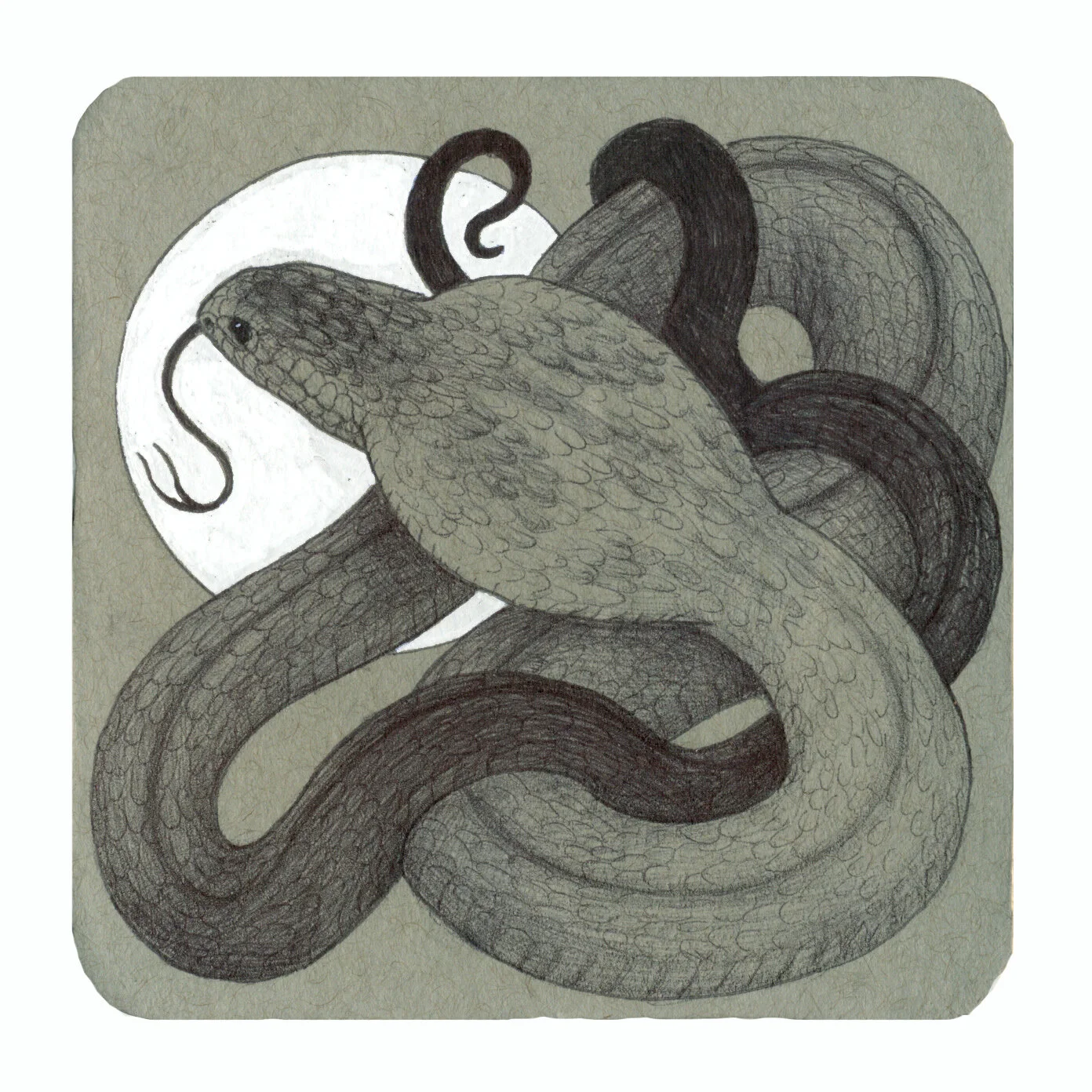 Coaster 1. Ballpoint and gelpen on paper mounted to coaster. 4x4in