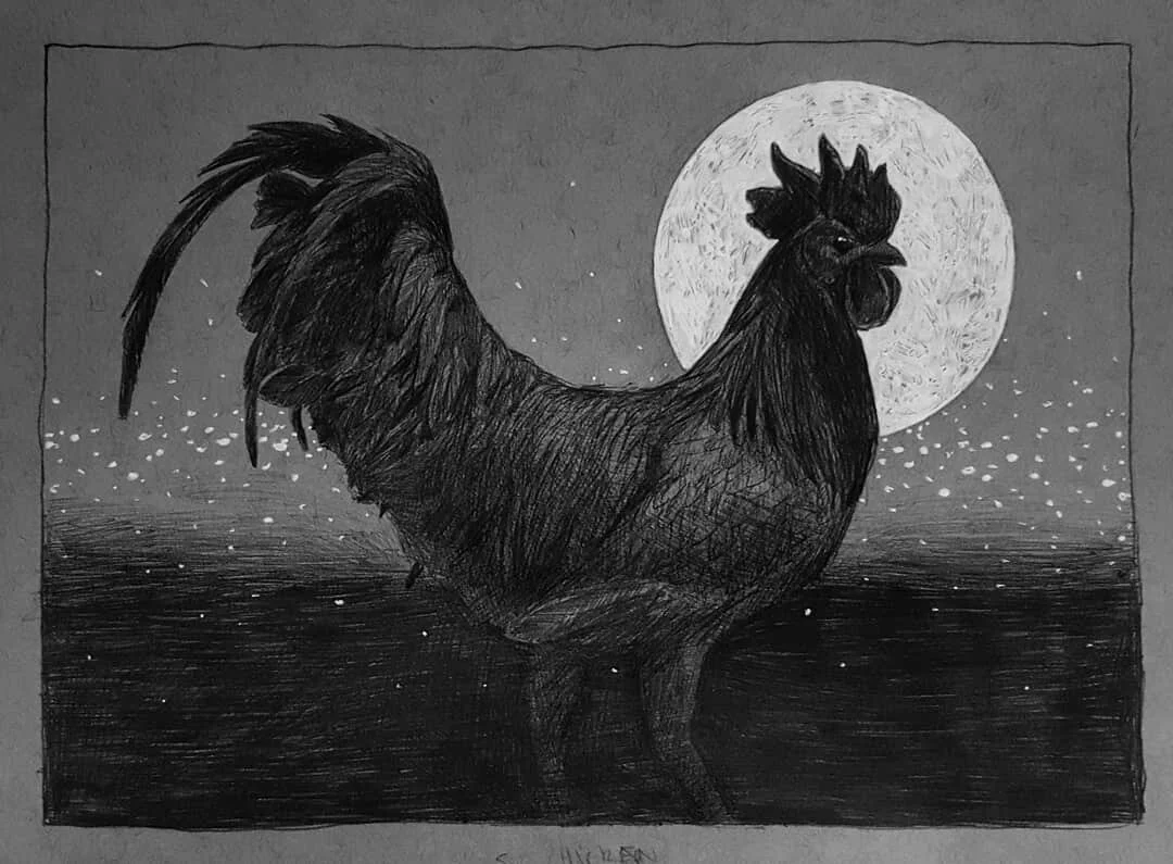 Inktober '18 Day 5 - Chicken. Ballpoint and gelpen on toned paper. 5x8in.