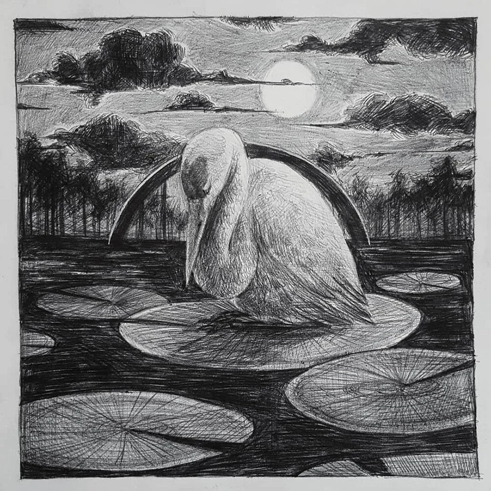 Inktober '18 Day 2 - Tranquil. Ballpoint on paper 8x8in.