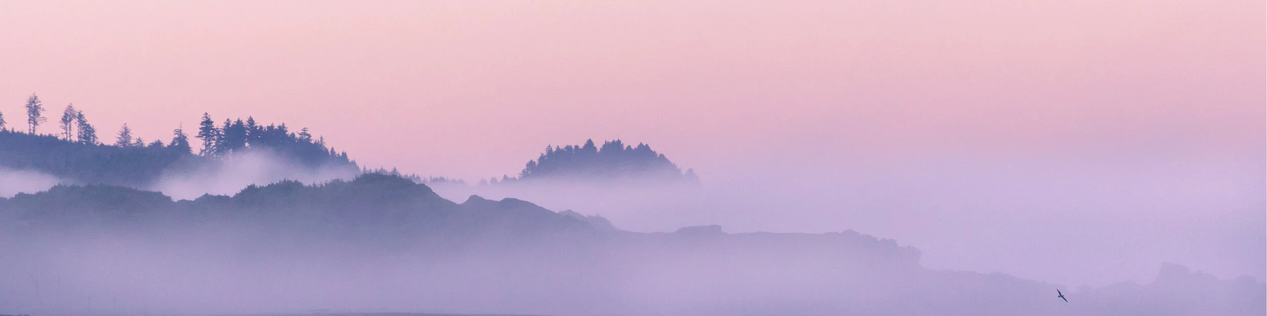 Oregonfogsunrise.jpg
